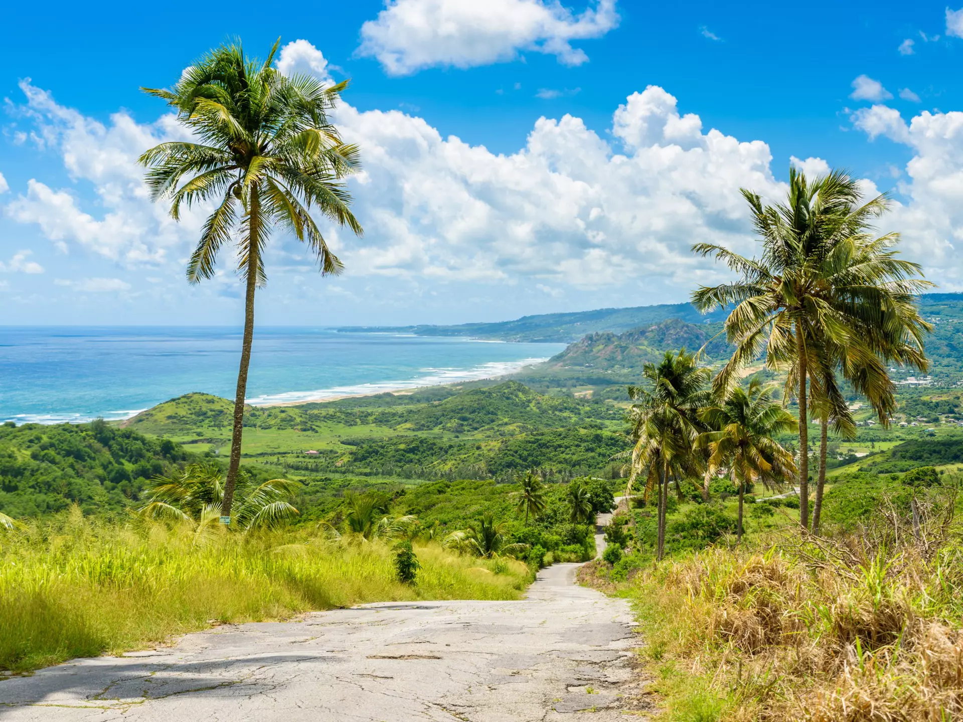 Get to know Barbados with this guide to the island's top experiences. Simon Dannhauer/Getty Images
