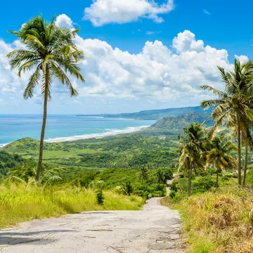 Get to know Barbados with this guide to the island's top experiences. Simon Dannhauer/Getty Images