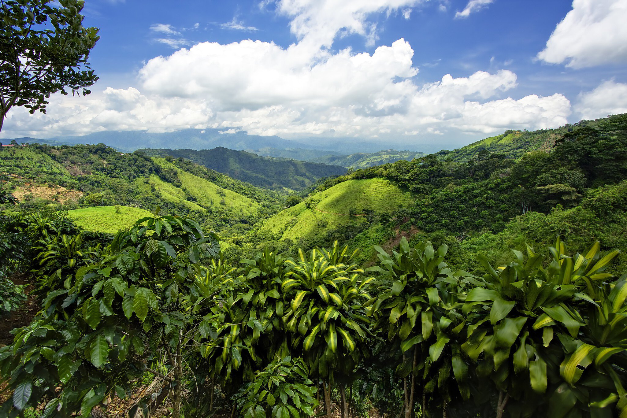 Costa Rica mountains and hillside was amazing.  view into valley was unbelievable. It was so much green for miles, and miles. cloud formation.