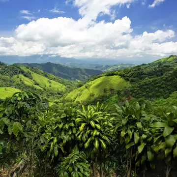 Costa Rica mountains and hillside was amazing.  view into valley was unbelievable. It was so much green for miles, and miles. cloud formation.