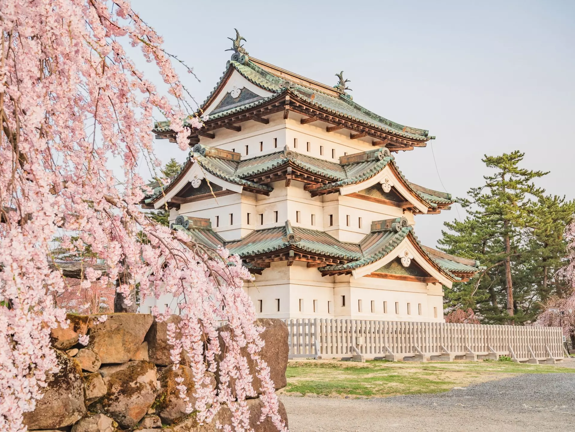 Hirosaki Castle surrounded by cherry blossoms in Aomori, Japan