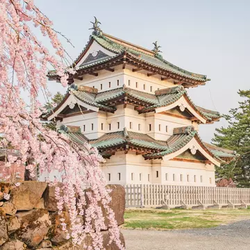 Hirosaki Castle surrounded by cherry blossoms in Aomori, Japan