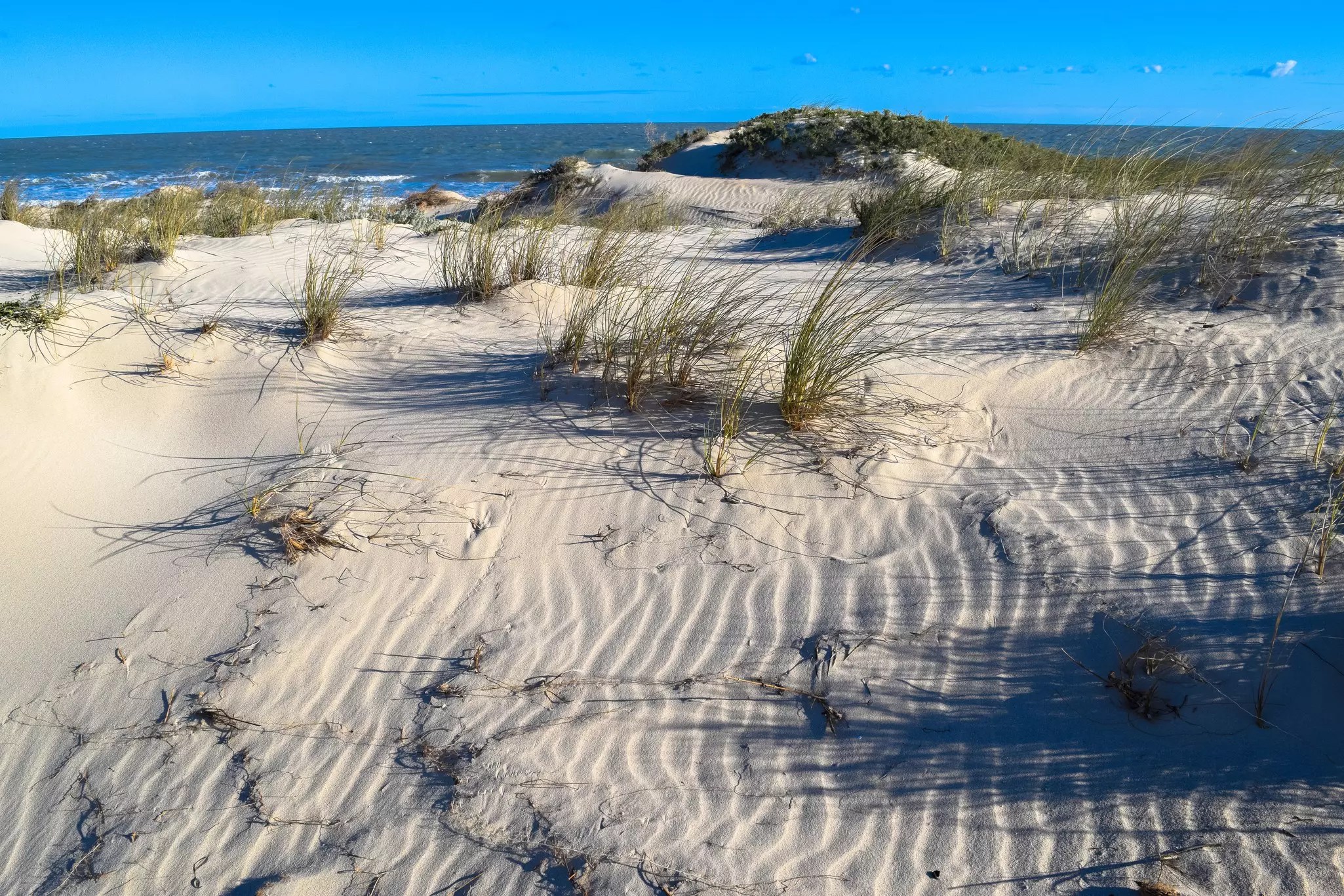 The wind forms patterns on sand dunes by the sea, with grasses growing in tufts.