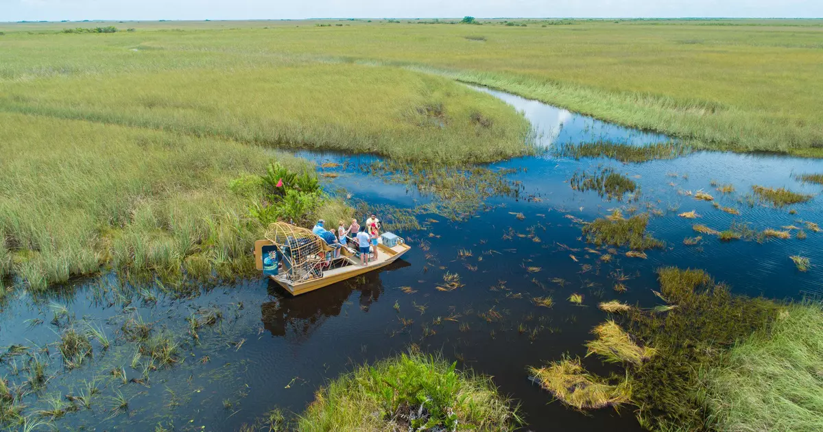 A first-time guide to Everglades National Park - Lonely Planet