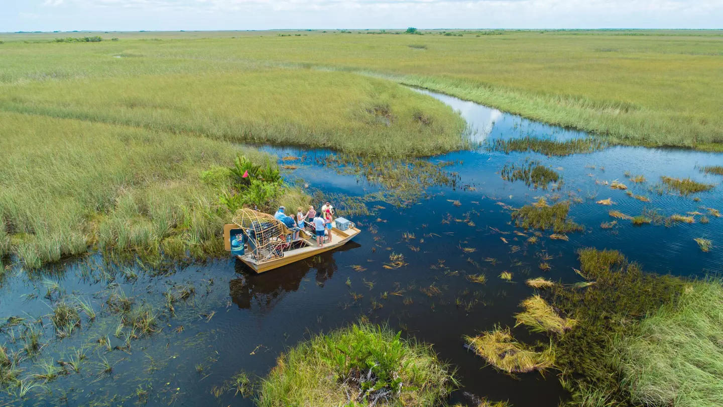 An aerial view of people on an airboat stopped in a wetland of grass and water inlets.
