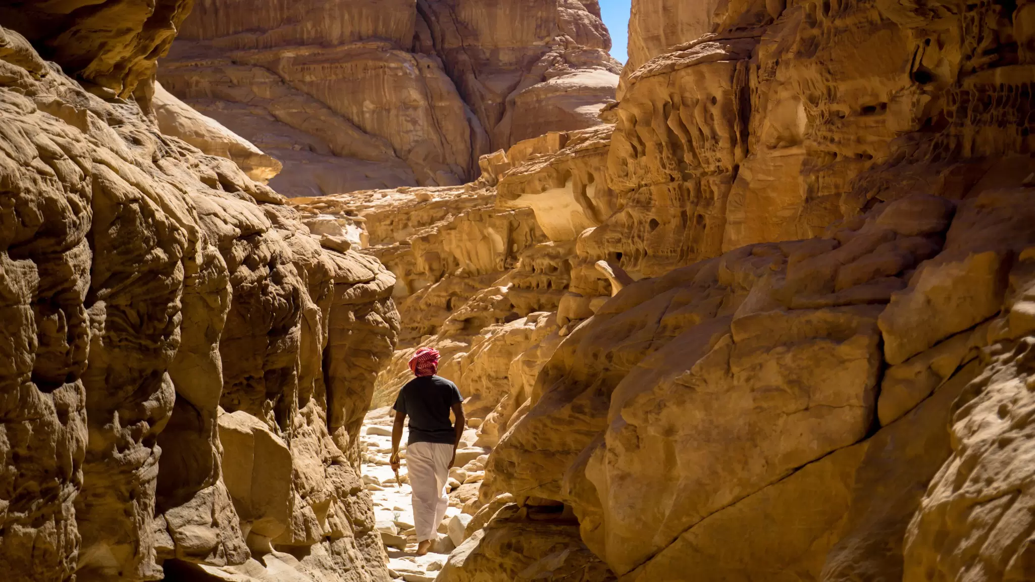 Hikers come to Egypt for its desert scenery. Atika Adzman/Getty Images