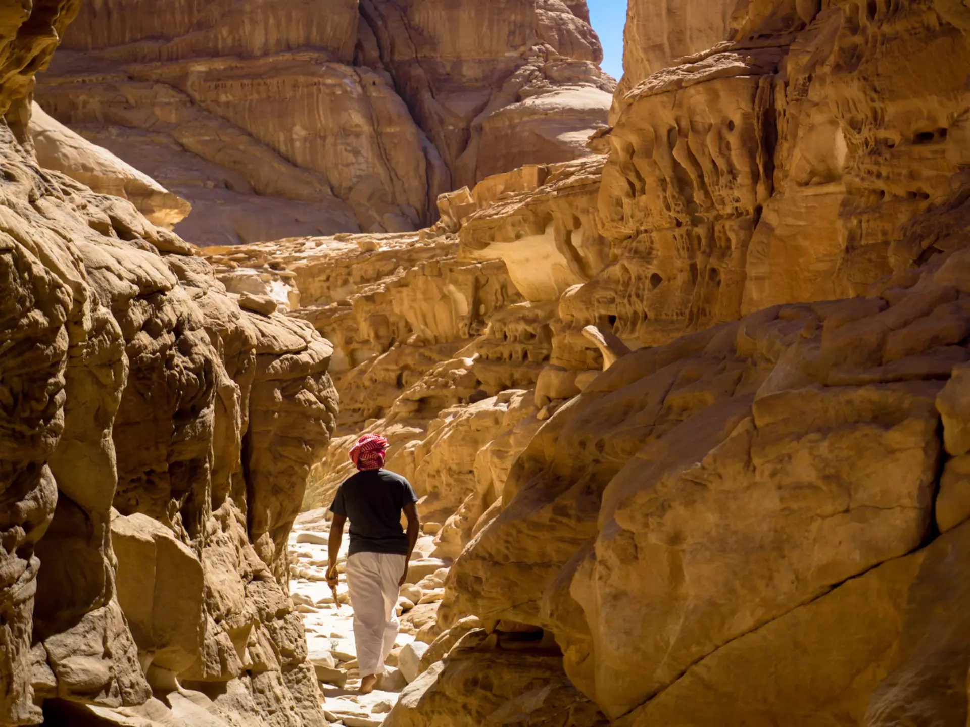 Hikers come to Egypt for its desert scenery. Atika Adzman/Getty Images