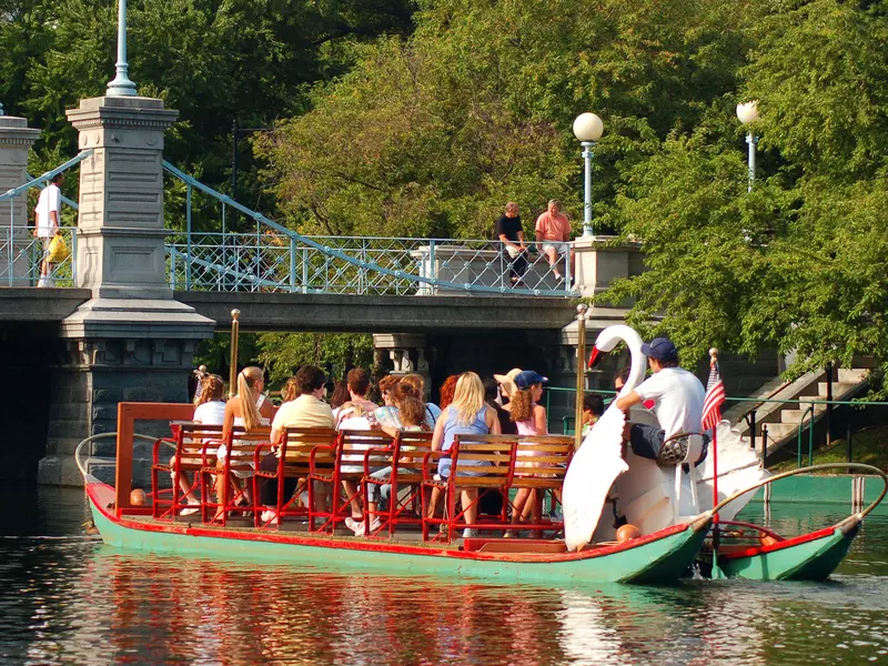 Swan Boats ply the waters of the pond in Boston Publik Gardens.  