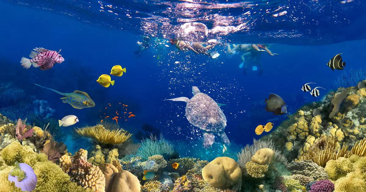 A first-time guide to Roatán - Lonely Planet