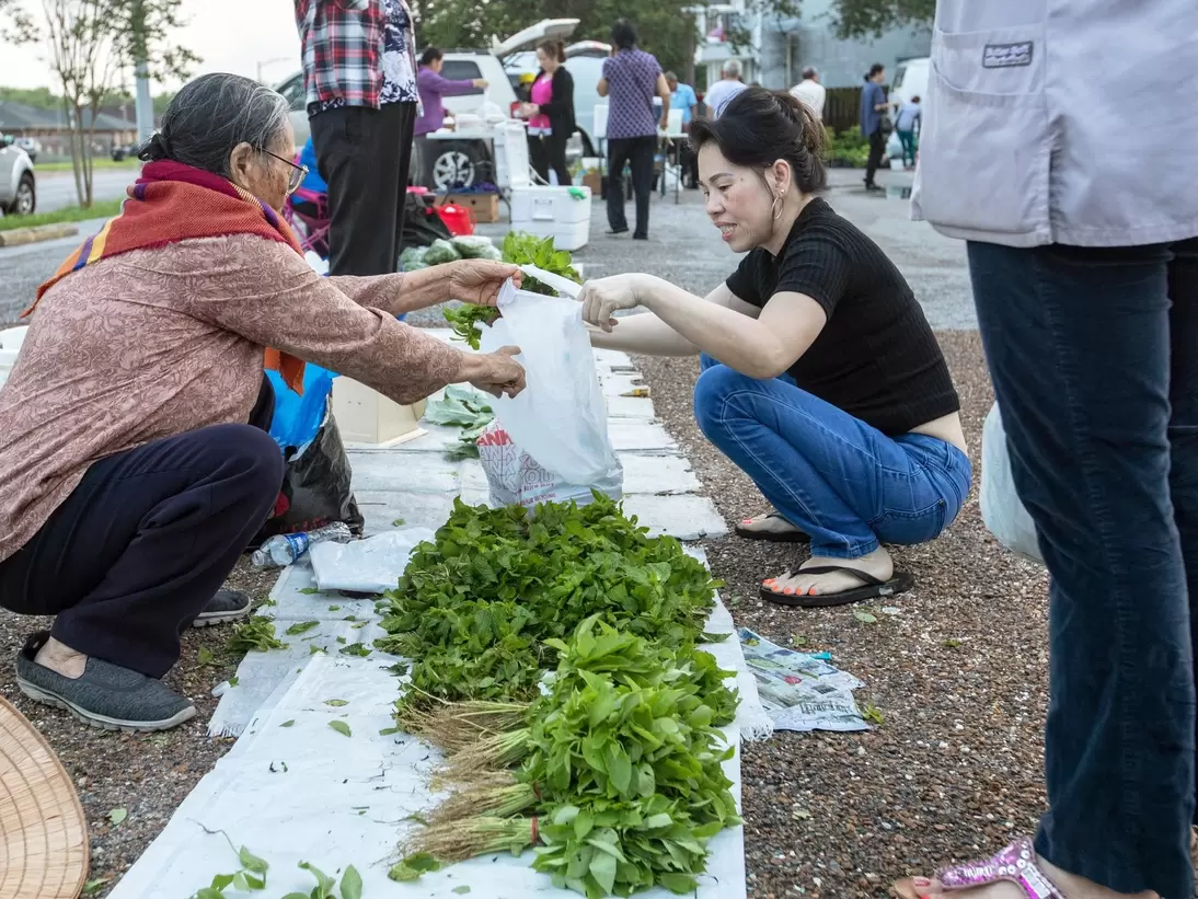TB2MD0 New Orleans, Louisiana - A Vietnamese farmers market, held for a few hours early Saturday mornings in a parking lot in the city's Vietnamese community