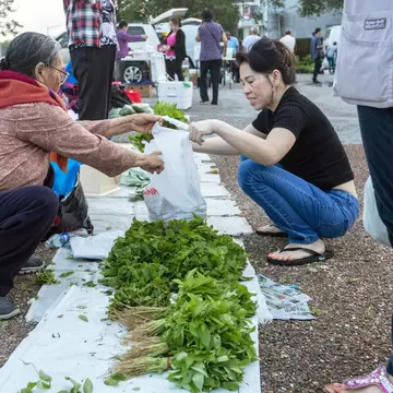 TB2MD0 New Orleans, Louisiana - A Vietnamese farmers market, held for a few hours early Saturday mornings in a parking lot in the city's Vietnamese community