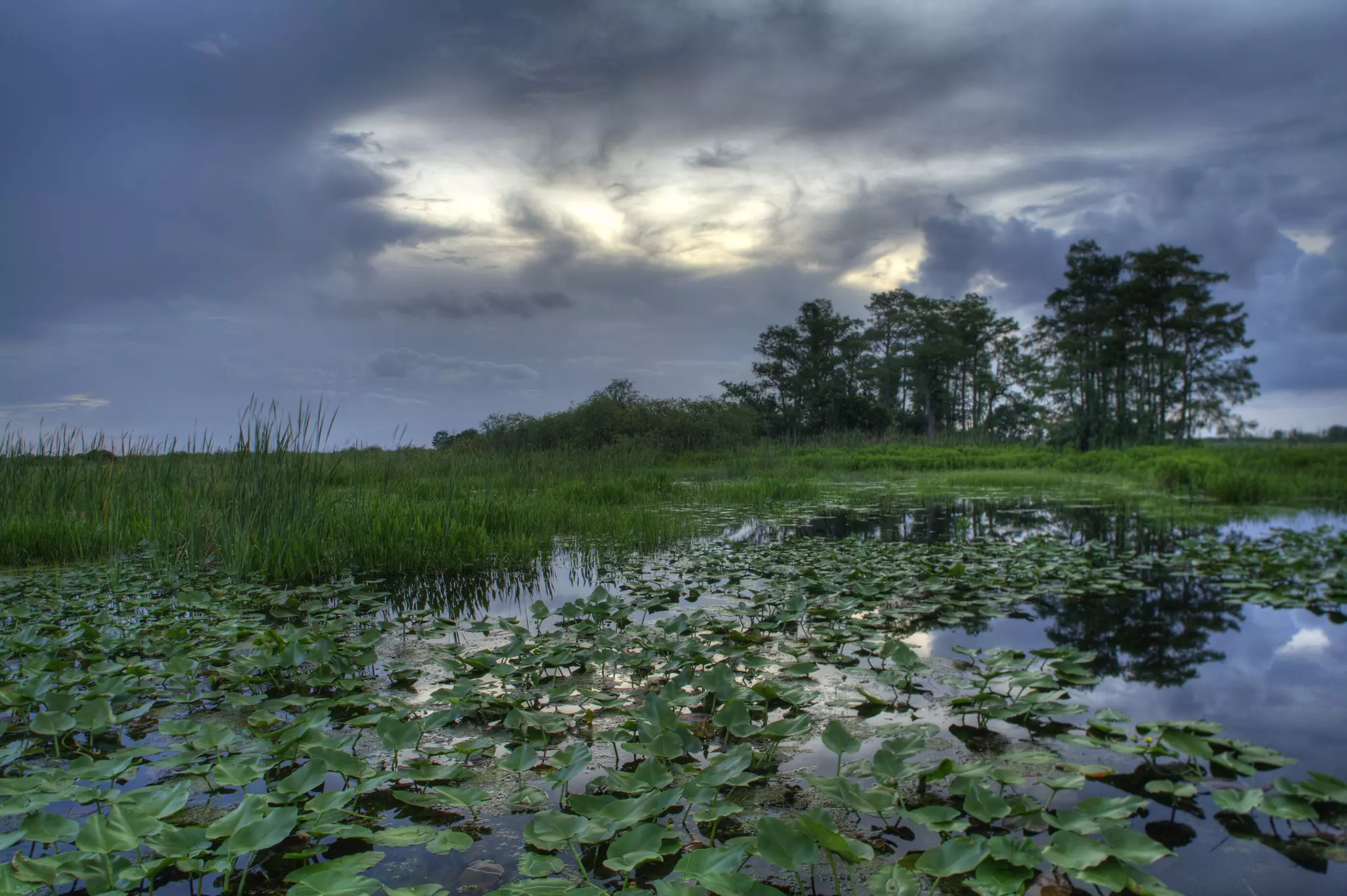 September is the peak month for hurricane activity in the region © johnandersonphoto / Getty Images / iStockphoto