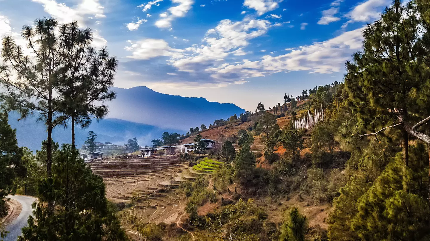 Terraced rice field withs rural houses and group of white prayer traditional buddhist flags in Punakha, Bhutan in the Himalayas in the early morning in spring.