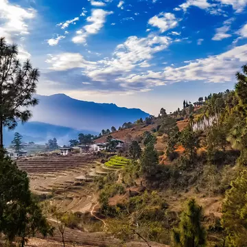 Terraced rice field withs rural houses and group of white prayer traditional buddhist flags in Punakha, Bhutan in the Himalayas in the early morning in spring.