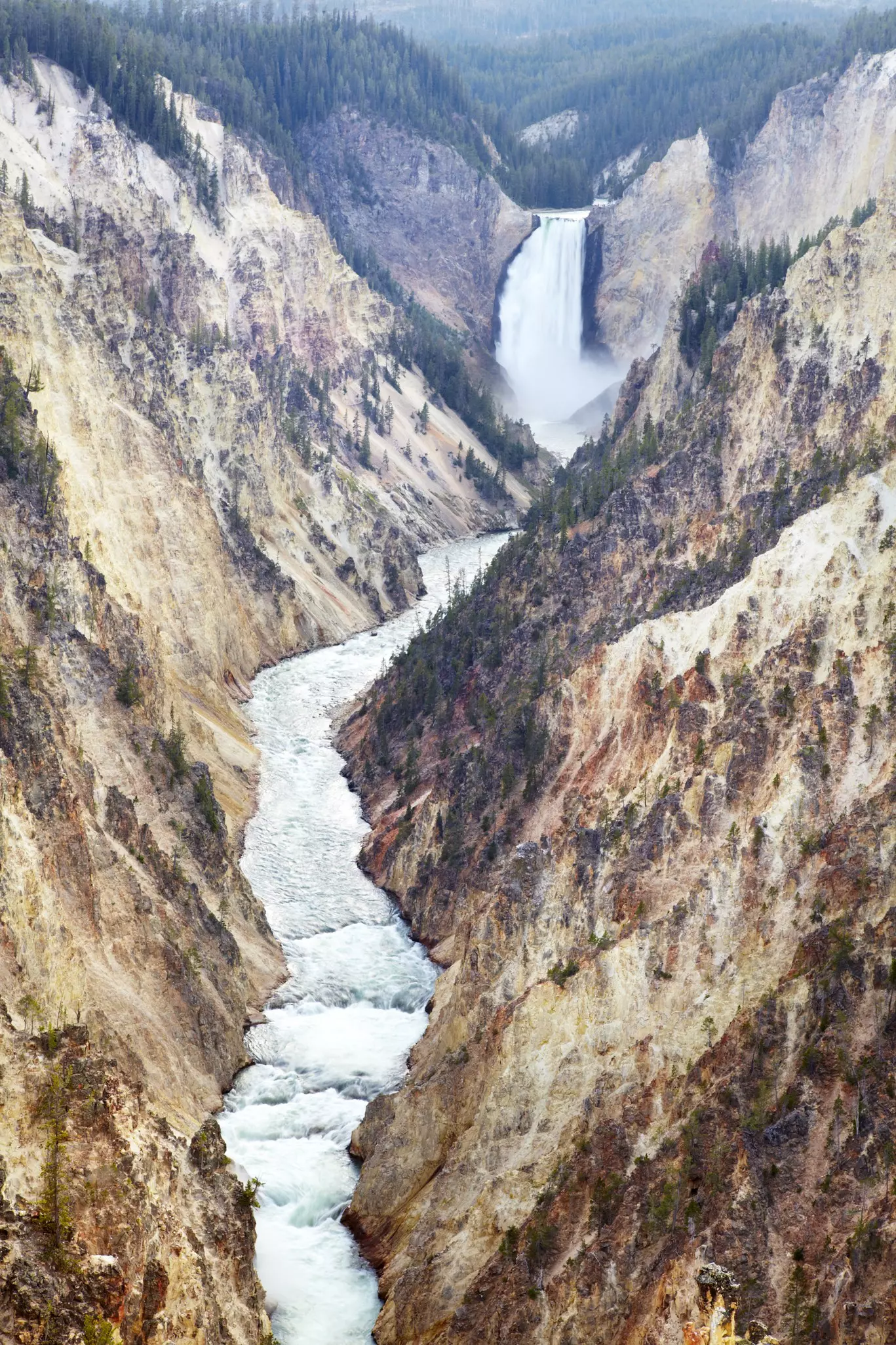 Yellowstone River cutting through Grand canyon of Yellowstone.