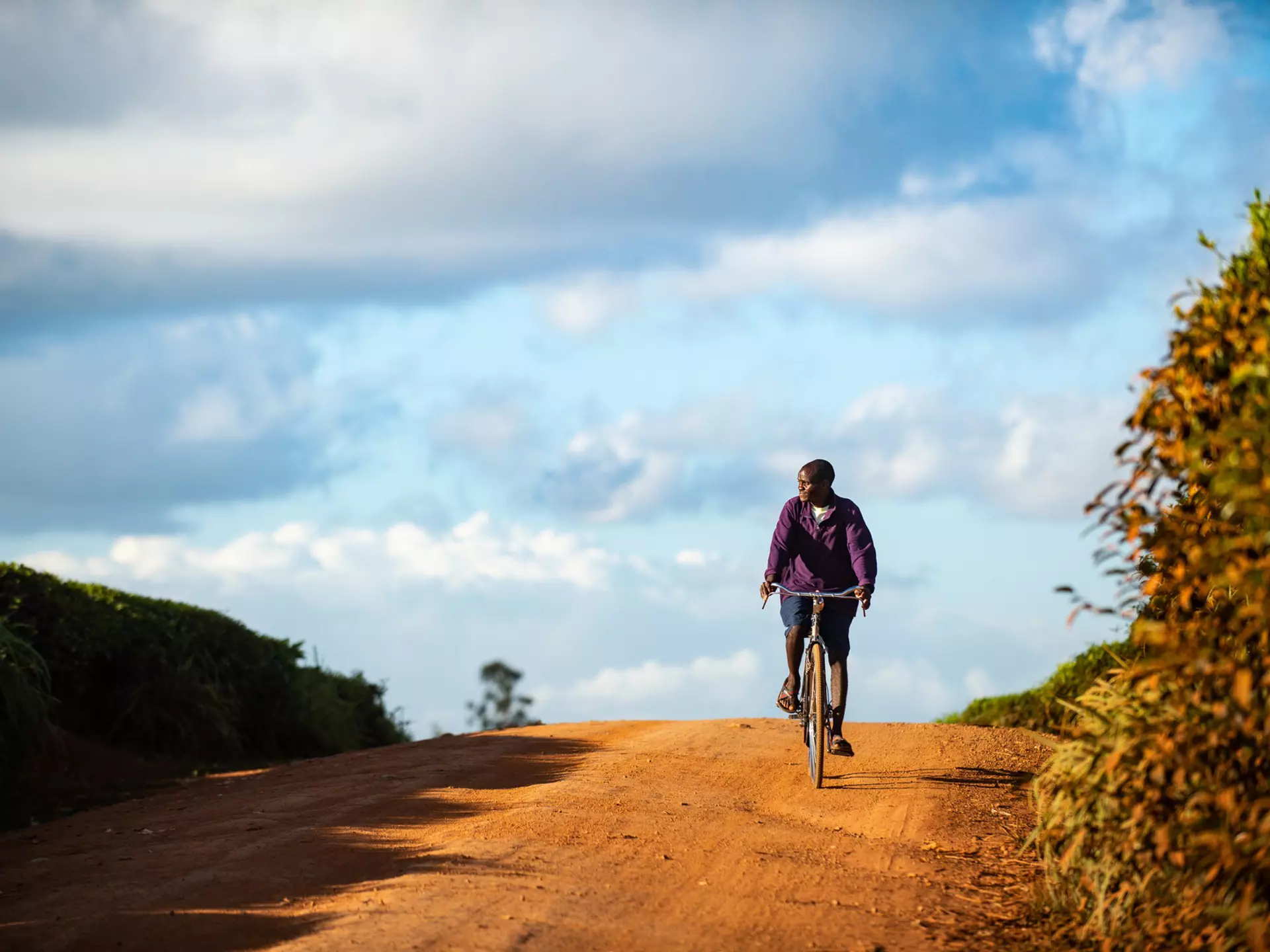 Here are the best ways to travel around in Malawi © wilpunt / Getty Images