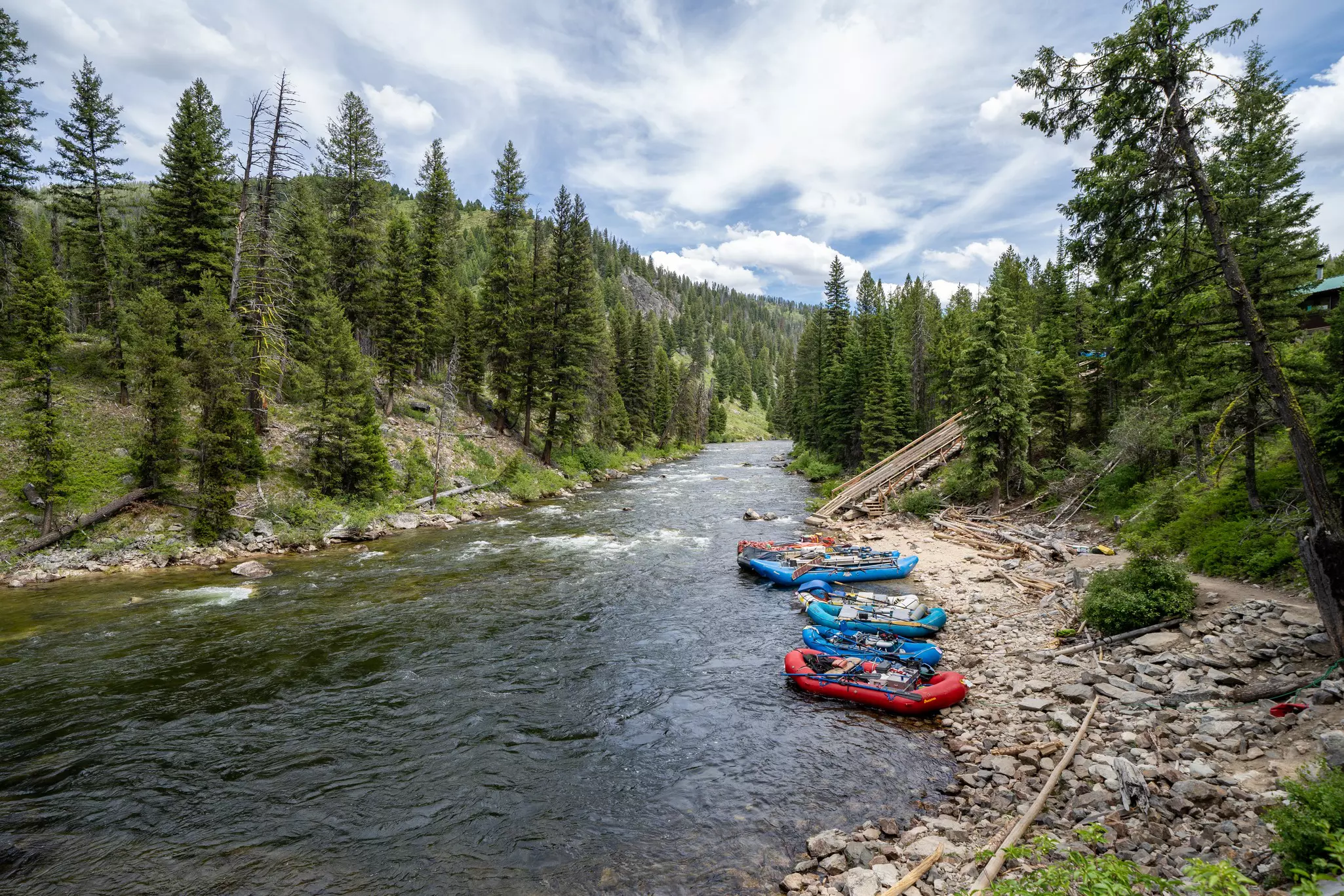 Five white water rafts moored at the side of a wide river in forest