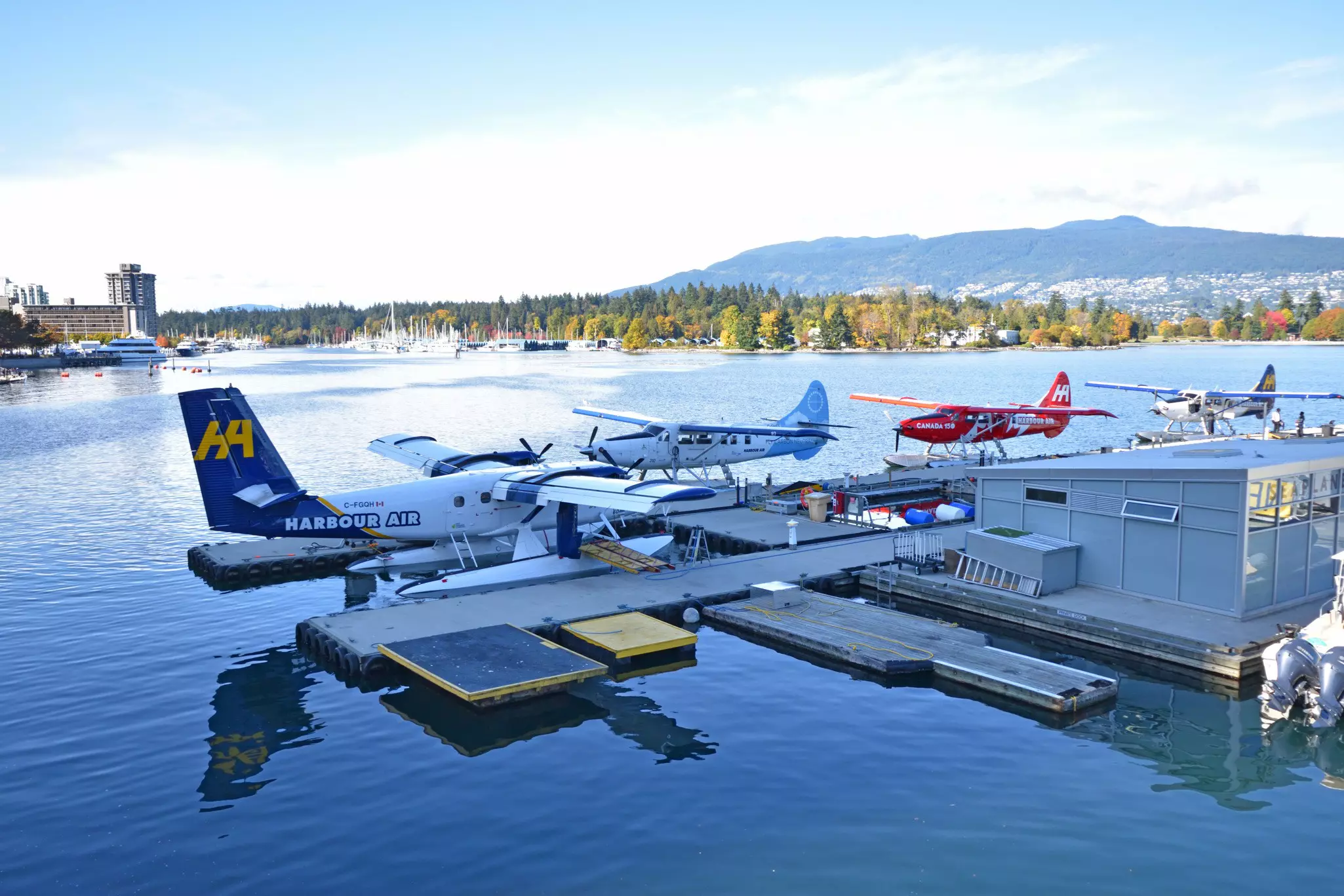 Four small seaplanes moored at a floating dock in a peaceful harbor.