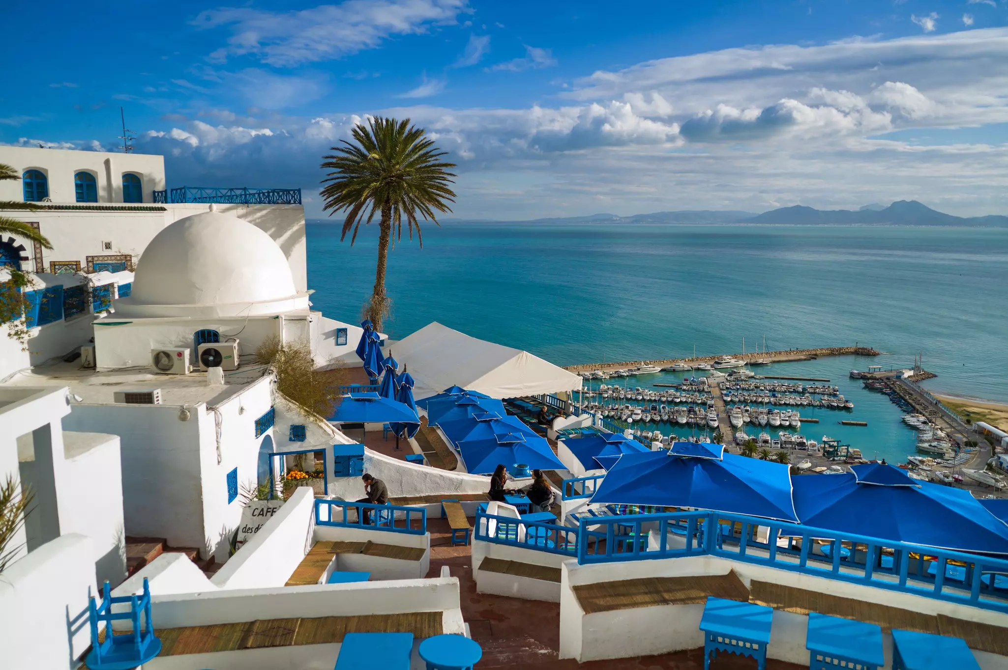 A view of a palm tree, white and blue rooftops and the Mediterranean Sea from Sidi Bou Saïd, Tunisia.