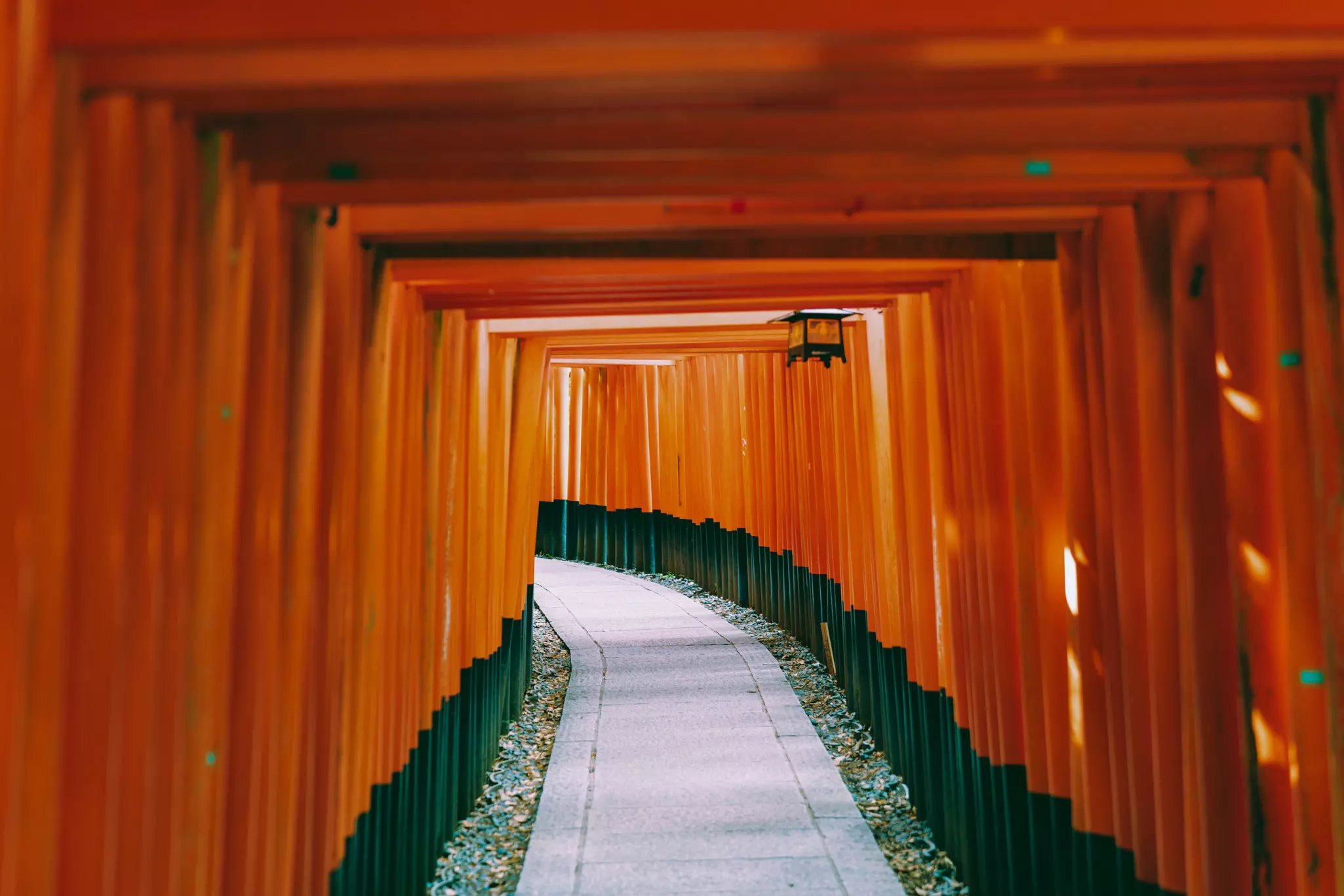Orange arches line one against one another around a cement path.