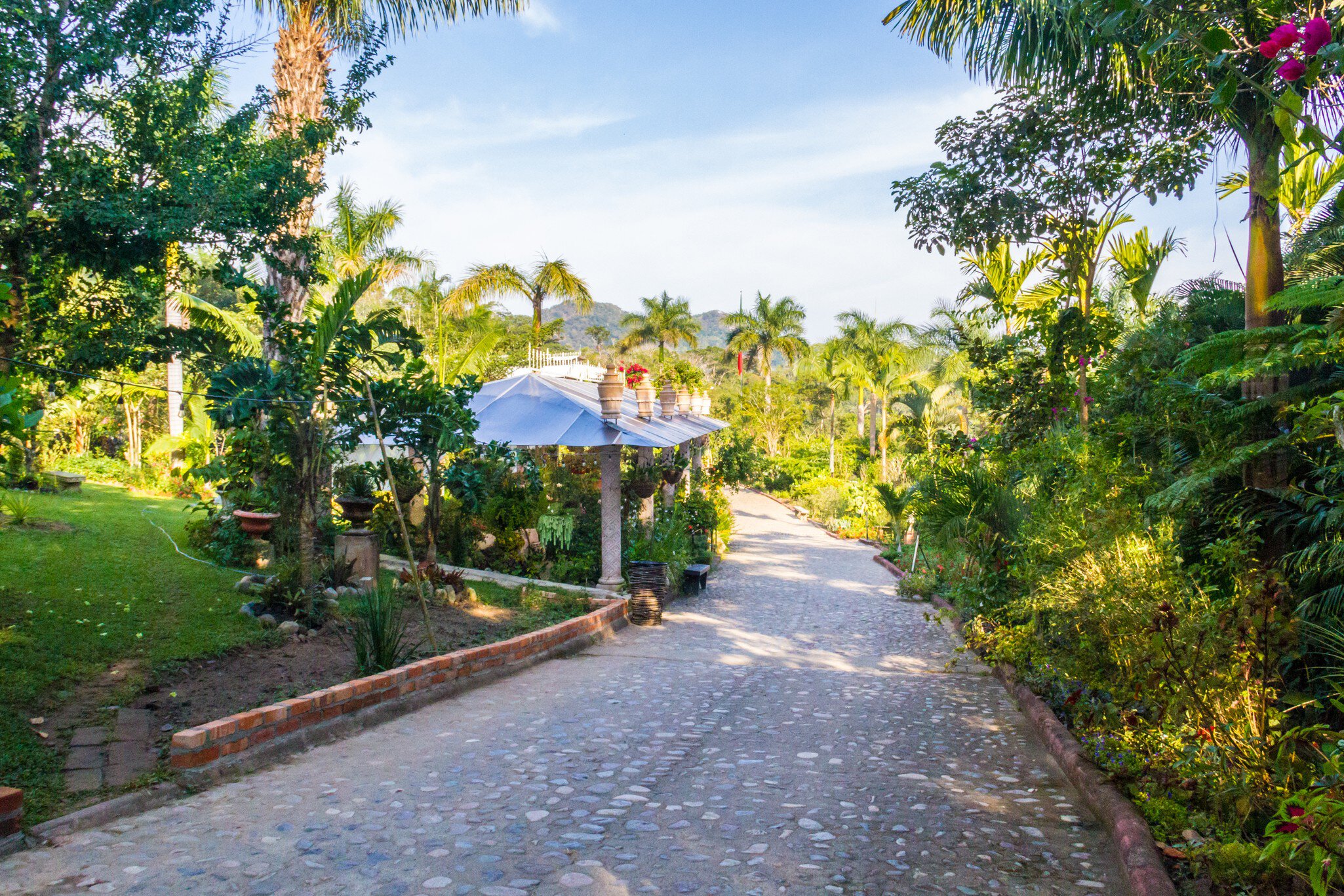 The Puerto Vallarta Botanical Garden in Jalisco, Mexico