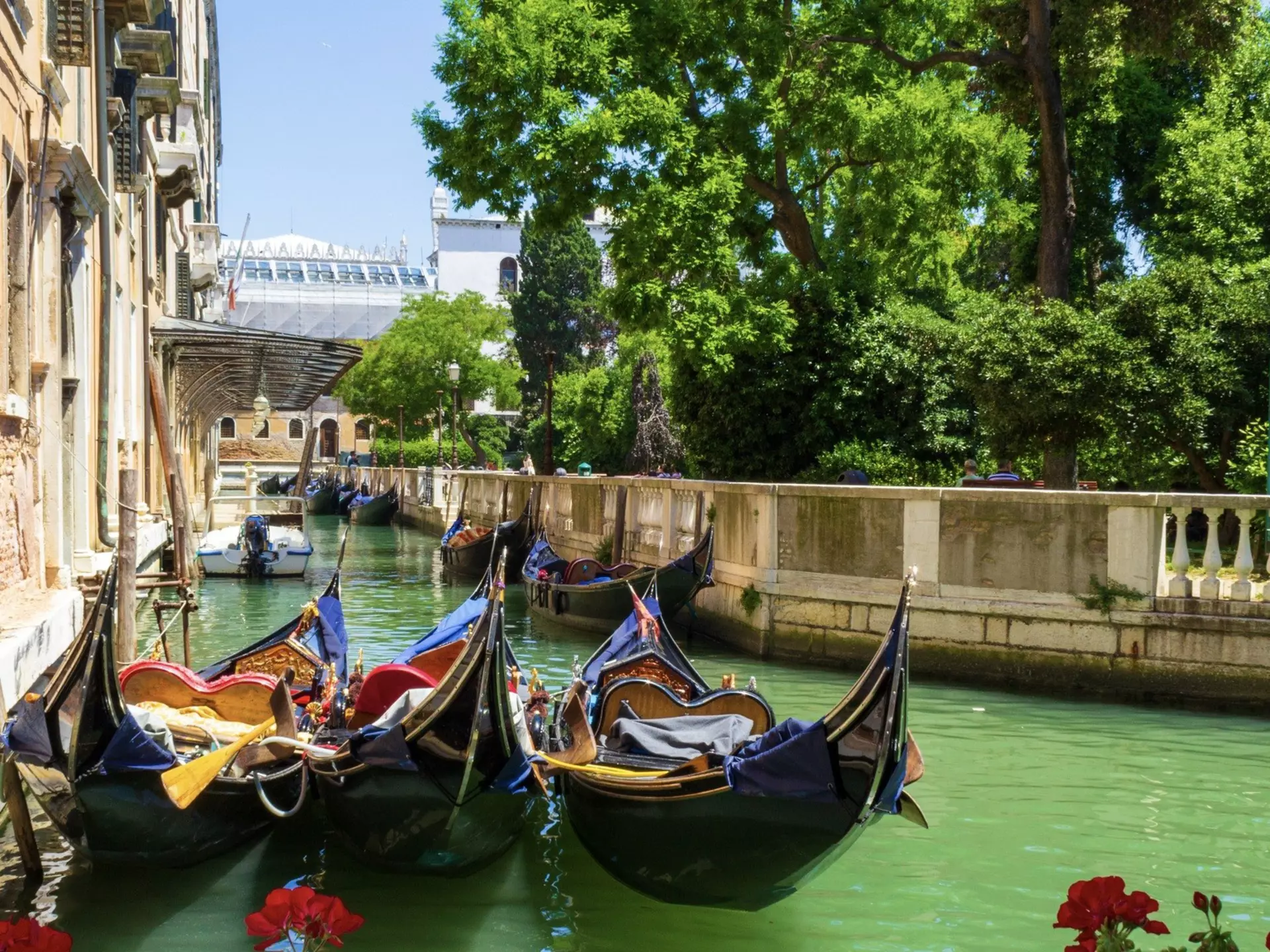 Gondolas in the canal that forms one side of the Giardini Reali, Venice. Anna Yordanova/Shutterstock