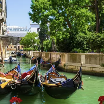 Gondolas in the canal that forms one side of the Giardini Reali, Venice. Anna Yordanova/Shutterstock