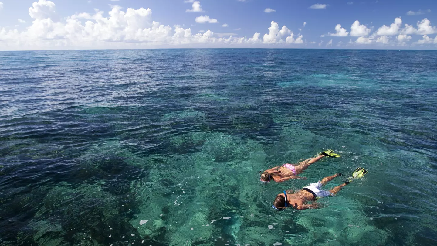 Snorkeling at Grecian Rocks, Key Largo, in Florida Keys National Marine Sanctuary