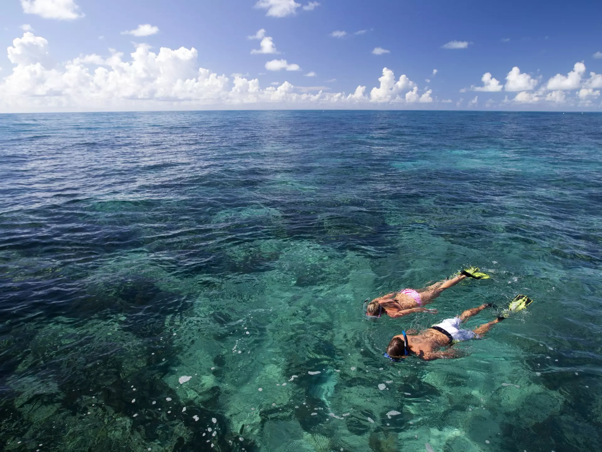 Snorkeling at Grecian Rocks, Key Largo, in Florida Keys National Marine Sanctuary