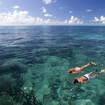 Snorkeling at Grecian Rocks, Key Largo, in Florida Keys National Marine Sanctuary