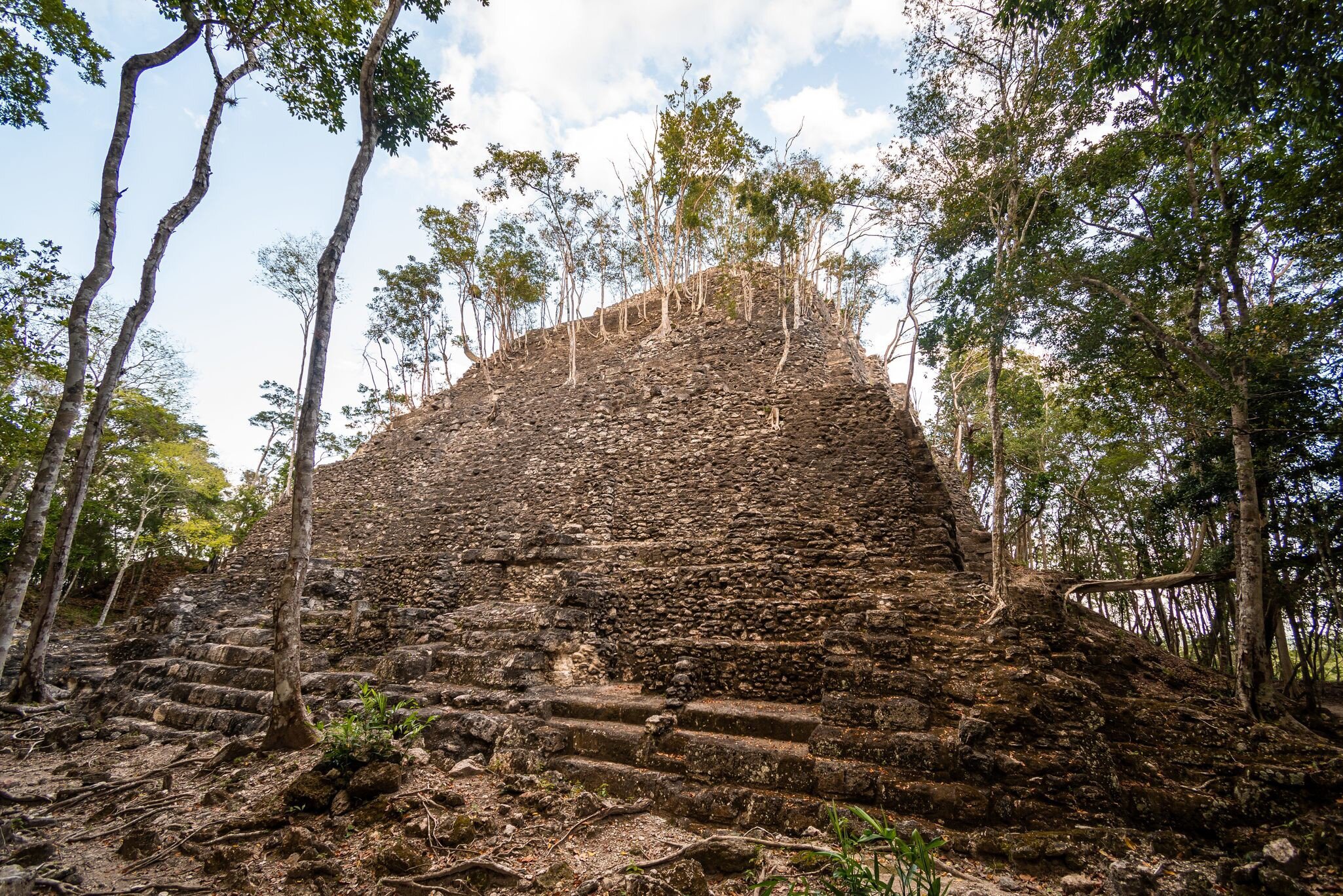 Ruins of an ancient maya pyramid (La Danta) deep in the Guatamalan jungle. Trees growing on the structure. Shot in El Mirador national park in Northern Guatemala. ; Shutterstock ID 1711358266; your: Bridget Brown; gl: 65050; netsuite: Online Edito...