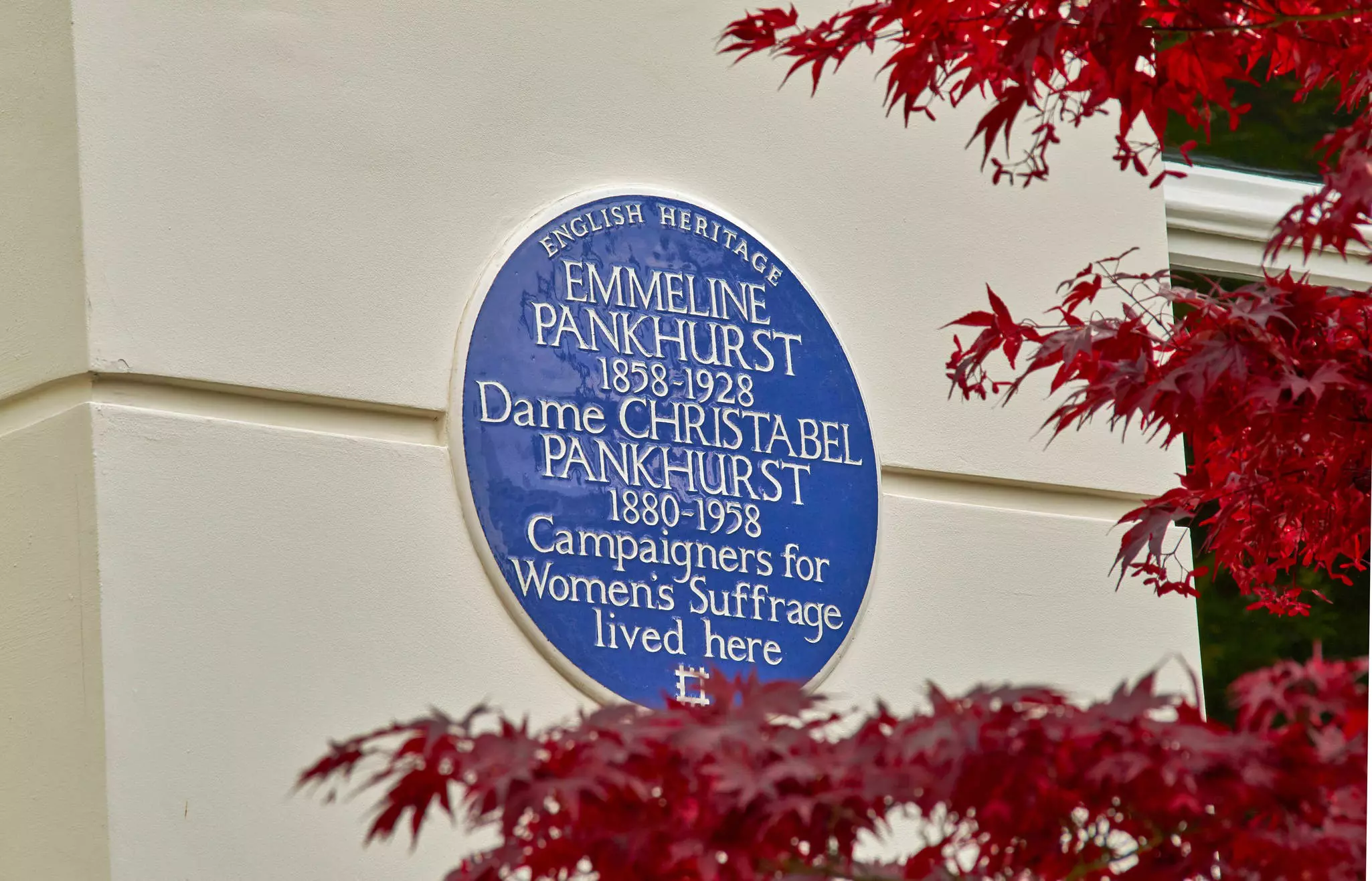Close-up of blue plaque on white building commemorating Emmeline and Christabel Pankhurst with a crimson-leafed tree in the foreground.