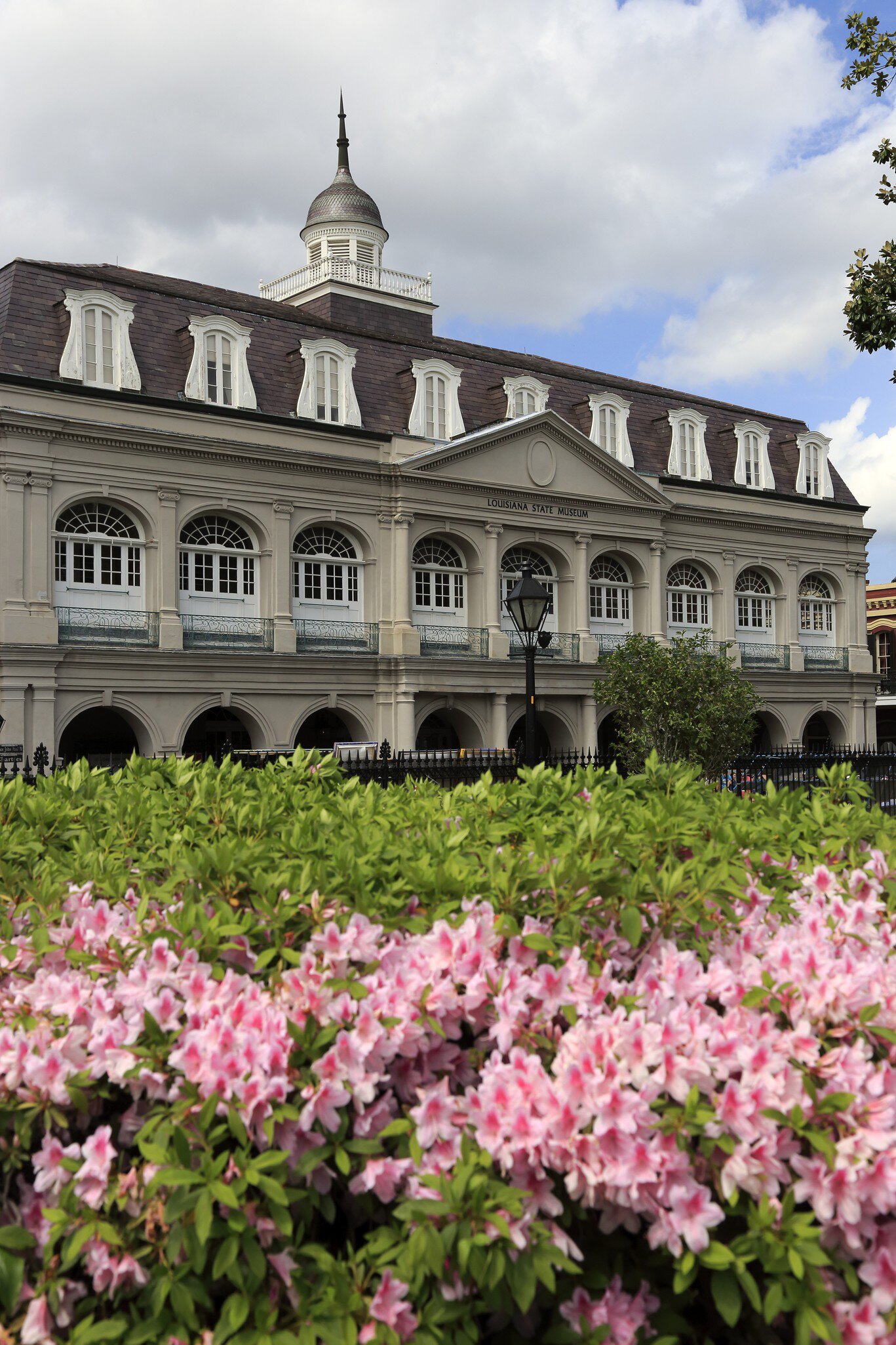 Exterior view of the Presbytère, framed by flowers in New Orleans, Louisiana.