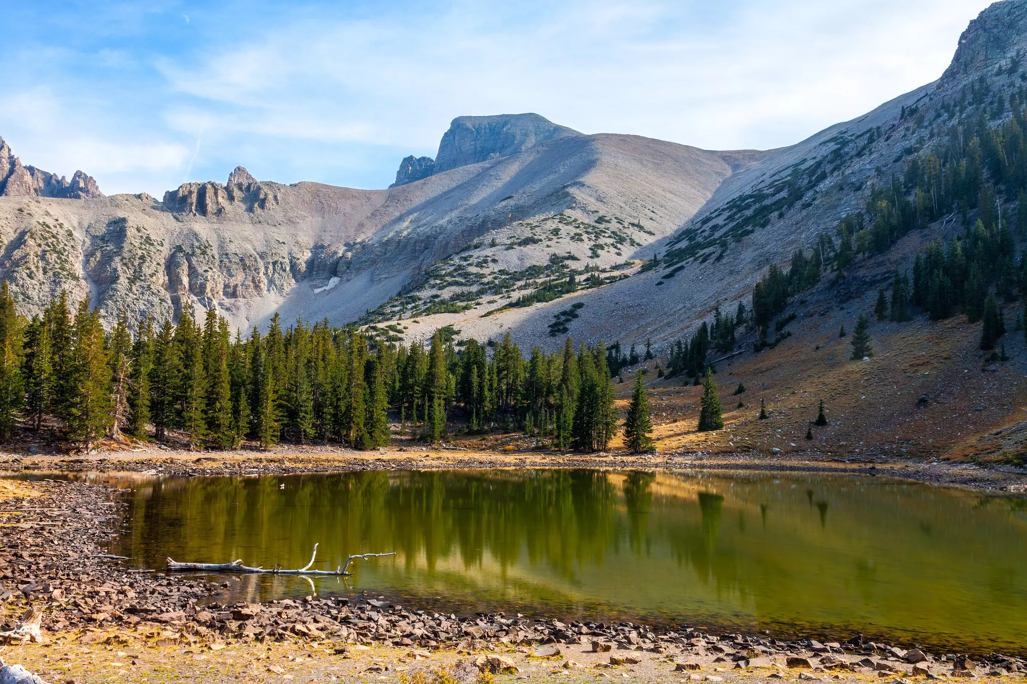 Alpine Loop trail in the Great Basin National Park. Arlene Waller/Shutterstock