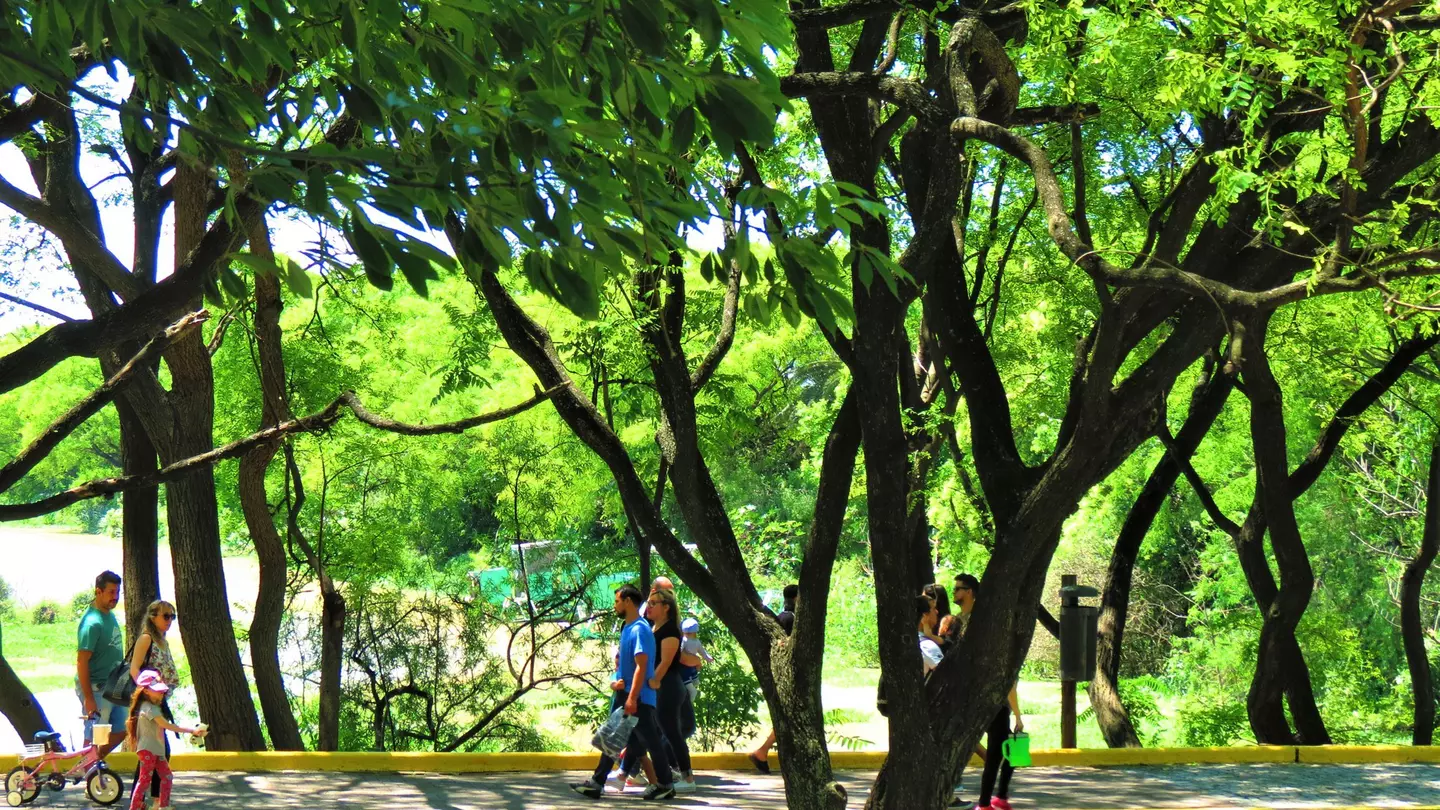 People at the Costanera Sur Ecological Reserve Park, Buenos Aires ©Natalia SO/Getty Images
