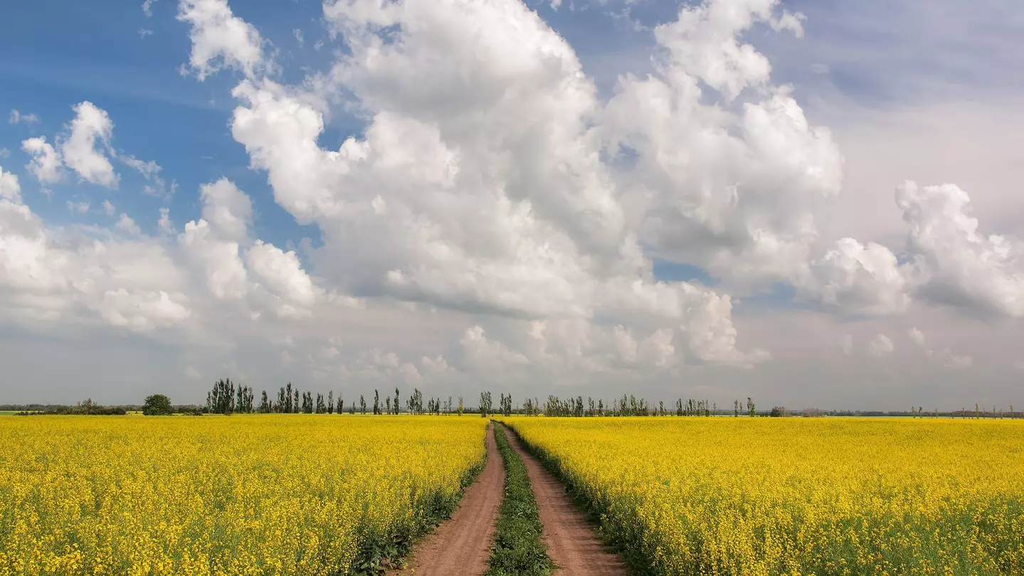 From timing your visit right to planning your activities, here's our first-timer's guide to Saskatoon © K. D. Kirchmeier / Getty Images
