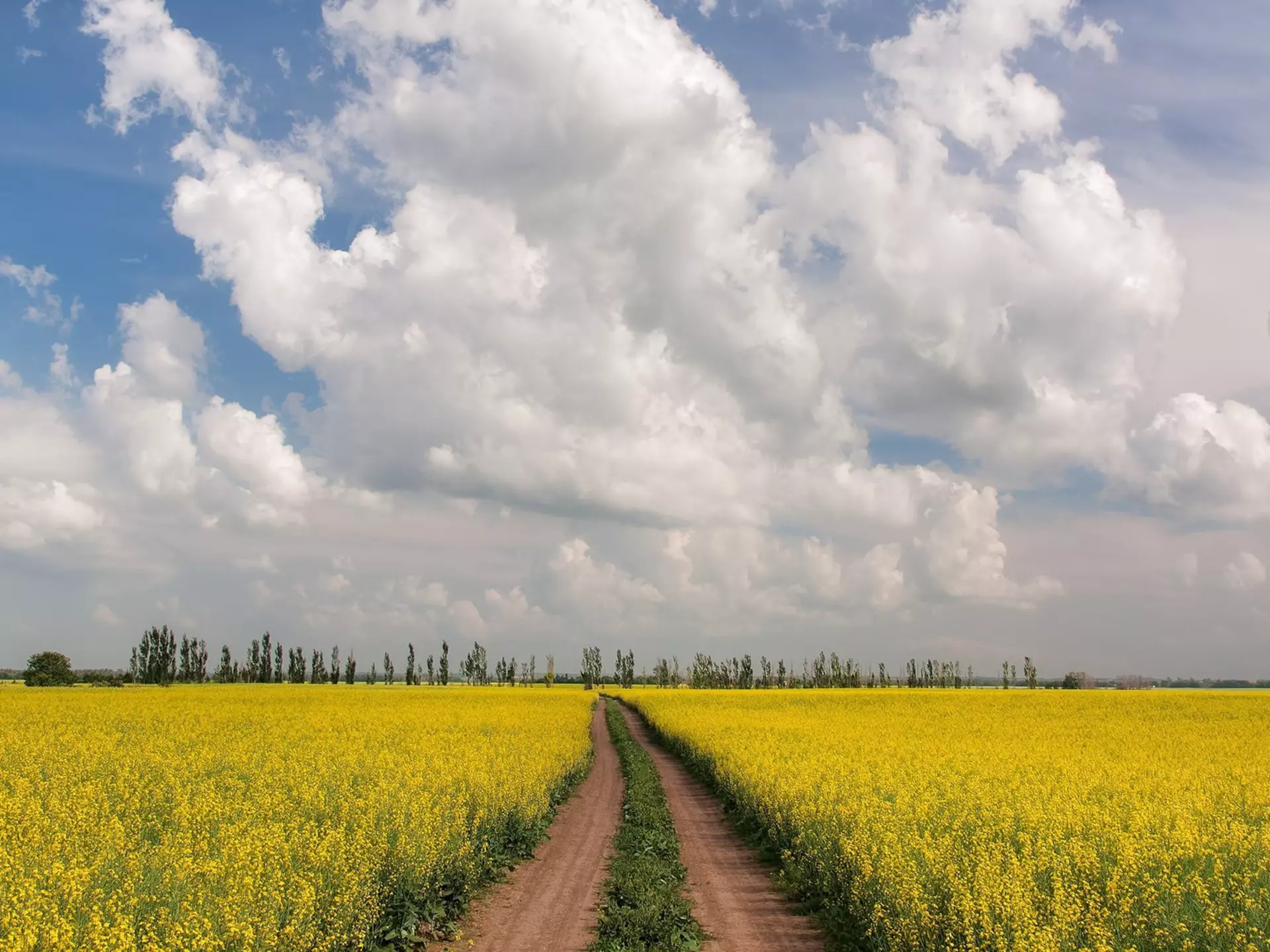 From timing your visit right to planning your activities, here's our first-timer's guide to Saskatoon © K. D. Kirchmeier / Getty Images