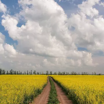 From timing your visit right to planning your activities, here's our first-timer's guide to Saskatoon © K. D. Kirchmeier / Getty Images