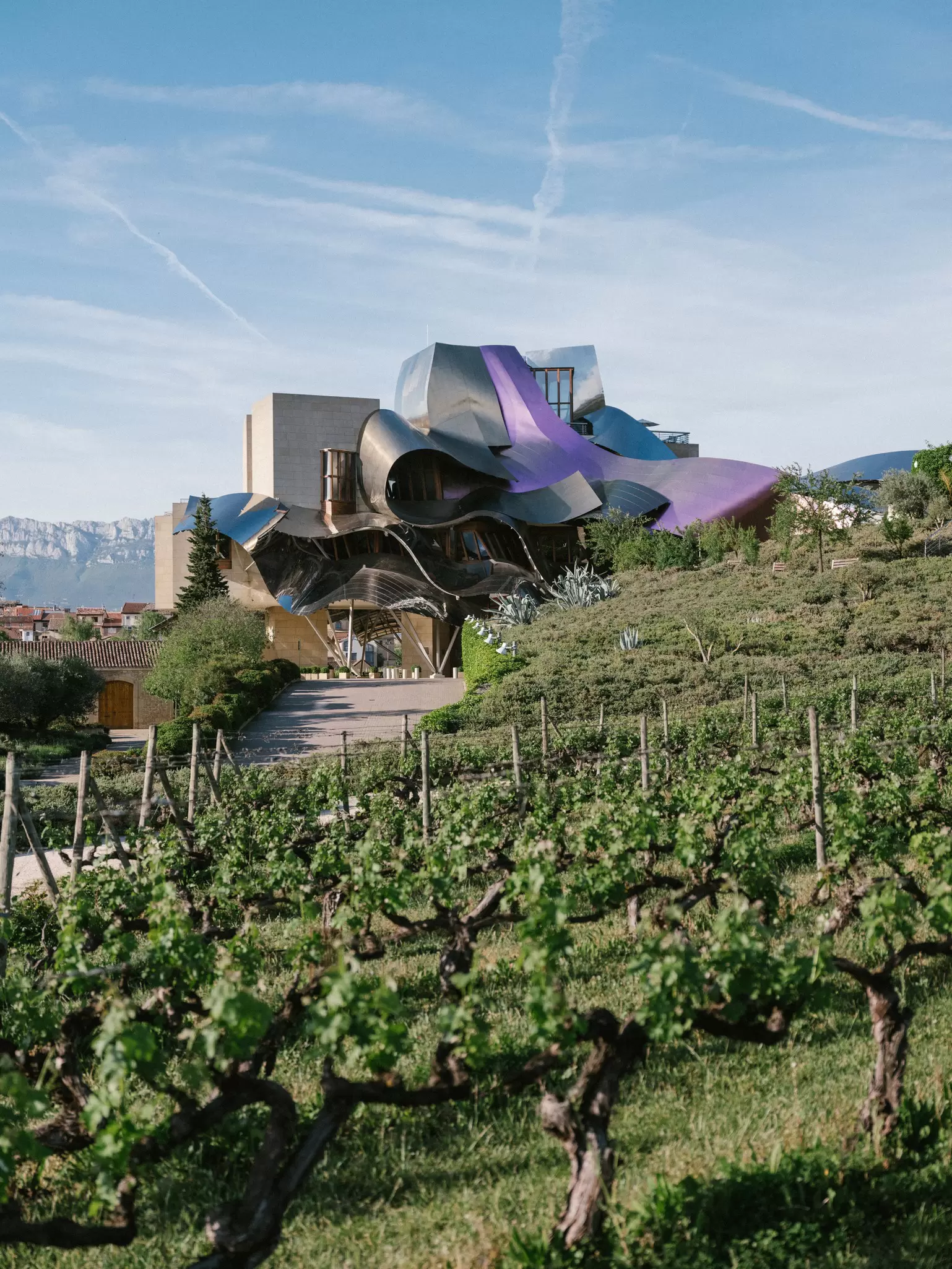 A vineyard with a large building with a curved metallic facade: Marqués de Riscal in La Rioja, Spain