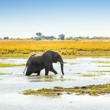 Botswana