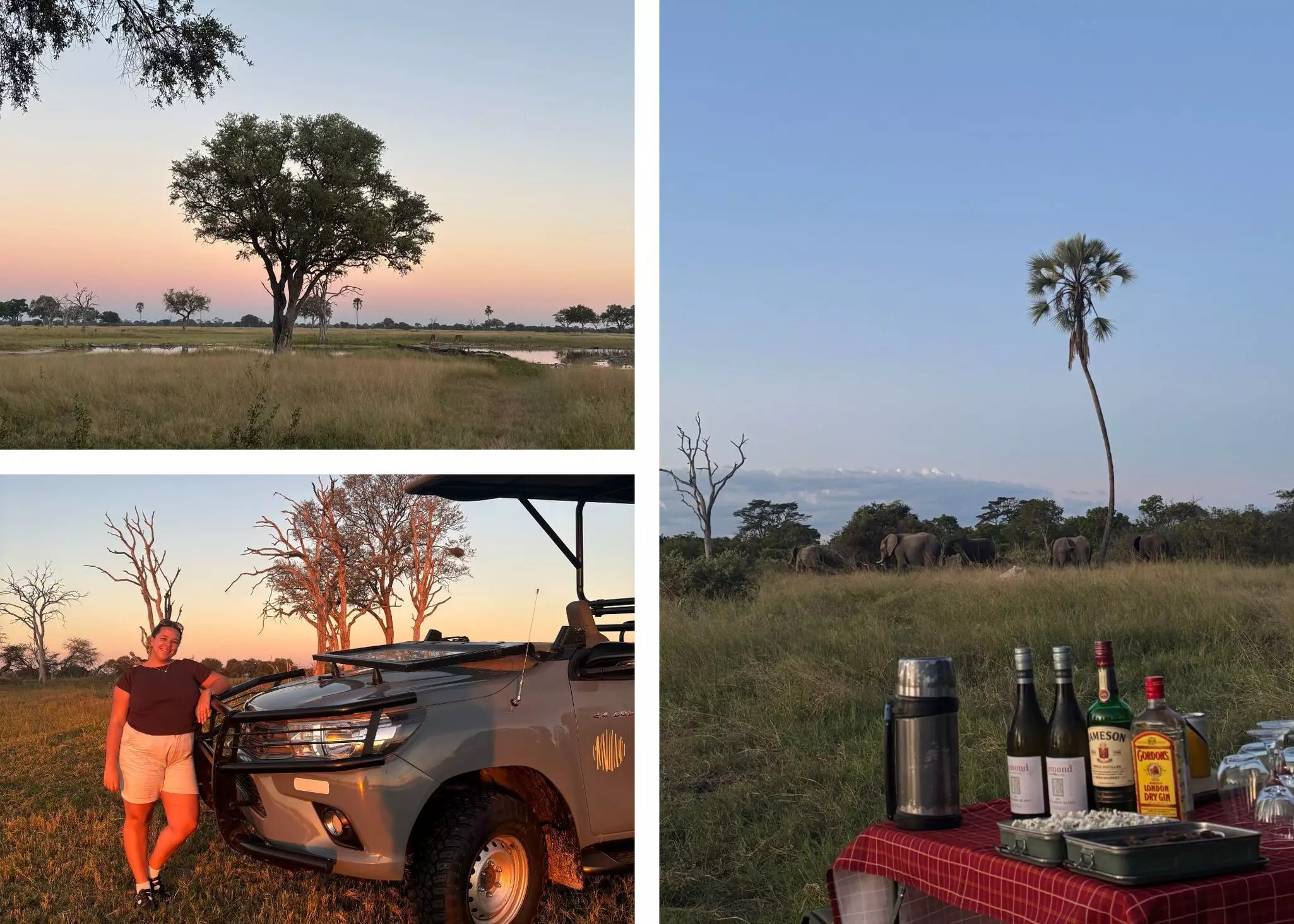 Scenes of life in Hwange National Park in Zimbabwe. 