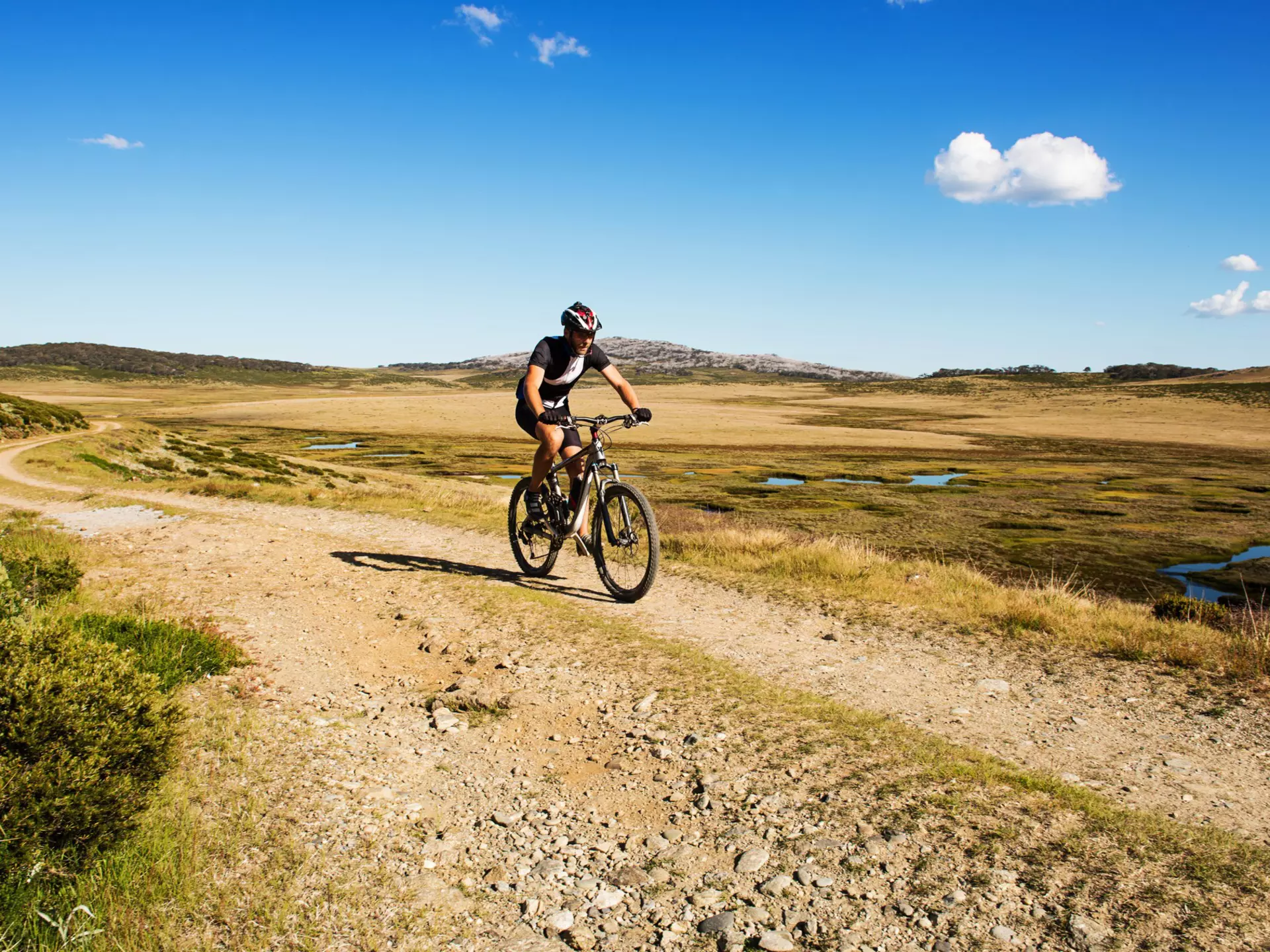Mountain biking on a fire trail road in Falls Creek, Australian Alps
480209517
Action, Activity, Adventure, Australia, Australian Alps, Beauty, Beauty In Nature, Bicycle, Clear Sky, Copy Space, Cycle, Cycling, Cyclist, Dirt Road, Eco Tourism, Exercising, Exploration, Extreme Sports, Extreme Terrain, Fire Trail, Footpath, Front View, Grass, Healthy Lifestyle, Journey, Lifestyles, Mountain, Mountain Bike, Mountain Biking, Nature, One Person, Outdoors, Panoramic, People Traveling, Riding, Rock, Scenics, Sport, Sport Background, Sports Helmet, Summer, Travel, Vacations, Wilderness Area, mtb, sports and fitness, Helmet, Headwear, Background, Sunny, Motion, People, Bicycle Trail - Outdoor Sports, Photography, Horizontal, Mtb, Rock - Object, Cycle - Vehicle, Scenics - Nature