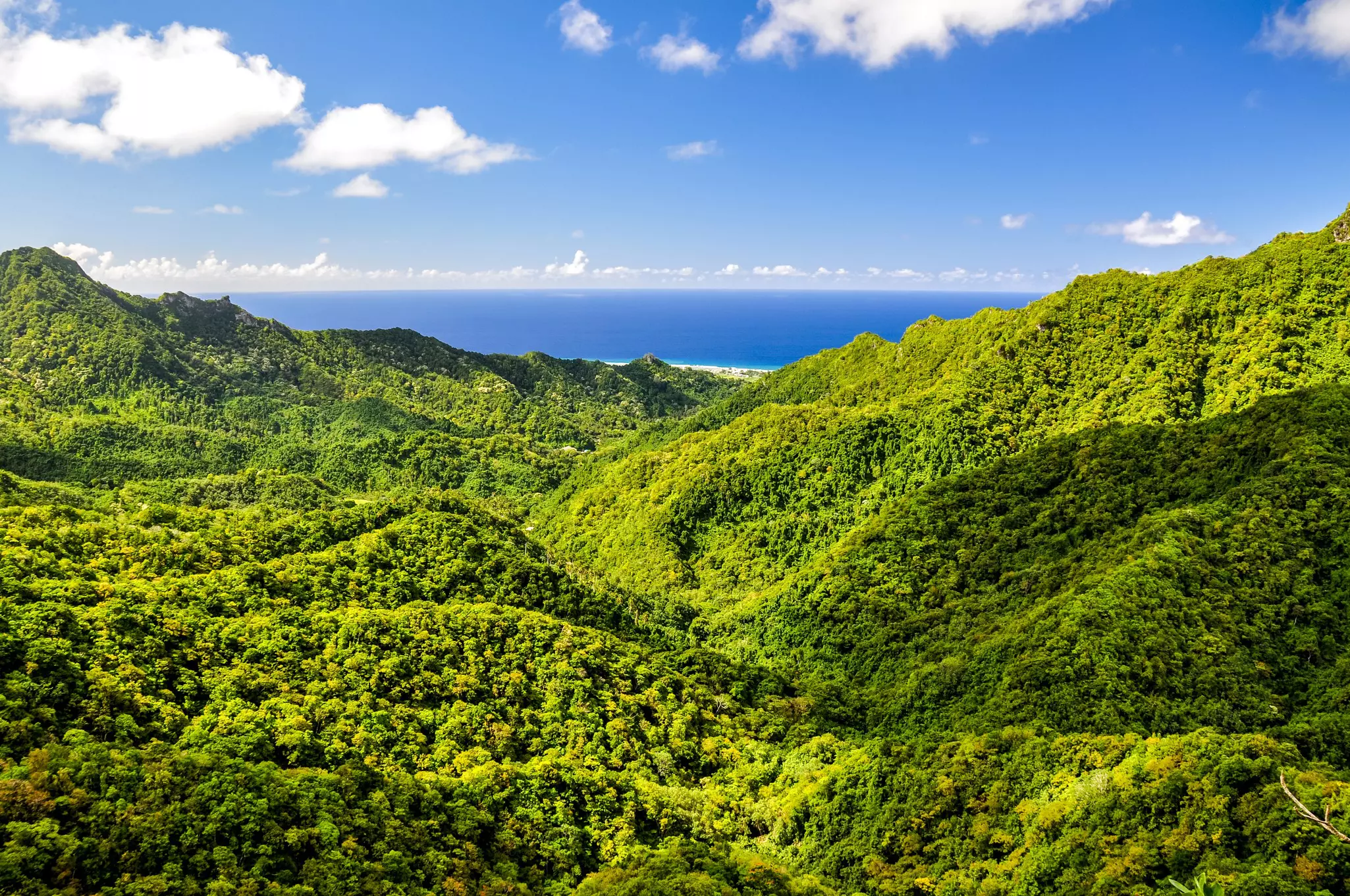 Dense tropical forest covers the undulating hills of an island all the way down to the sea in the distance. 