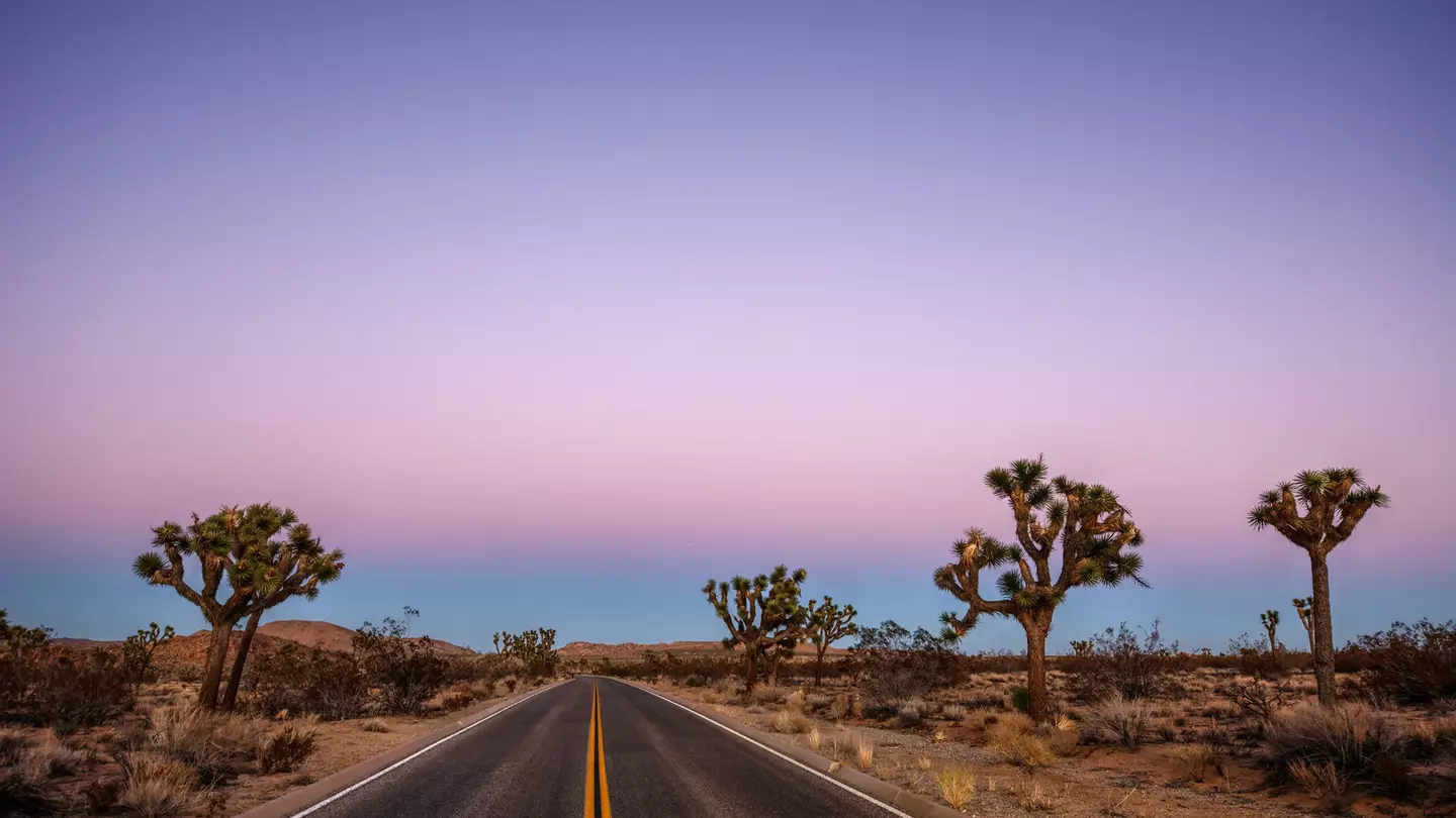A freshly paved road at dusk running right through a desert landscape
