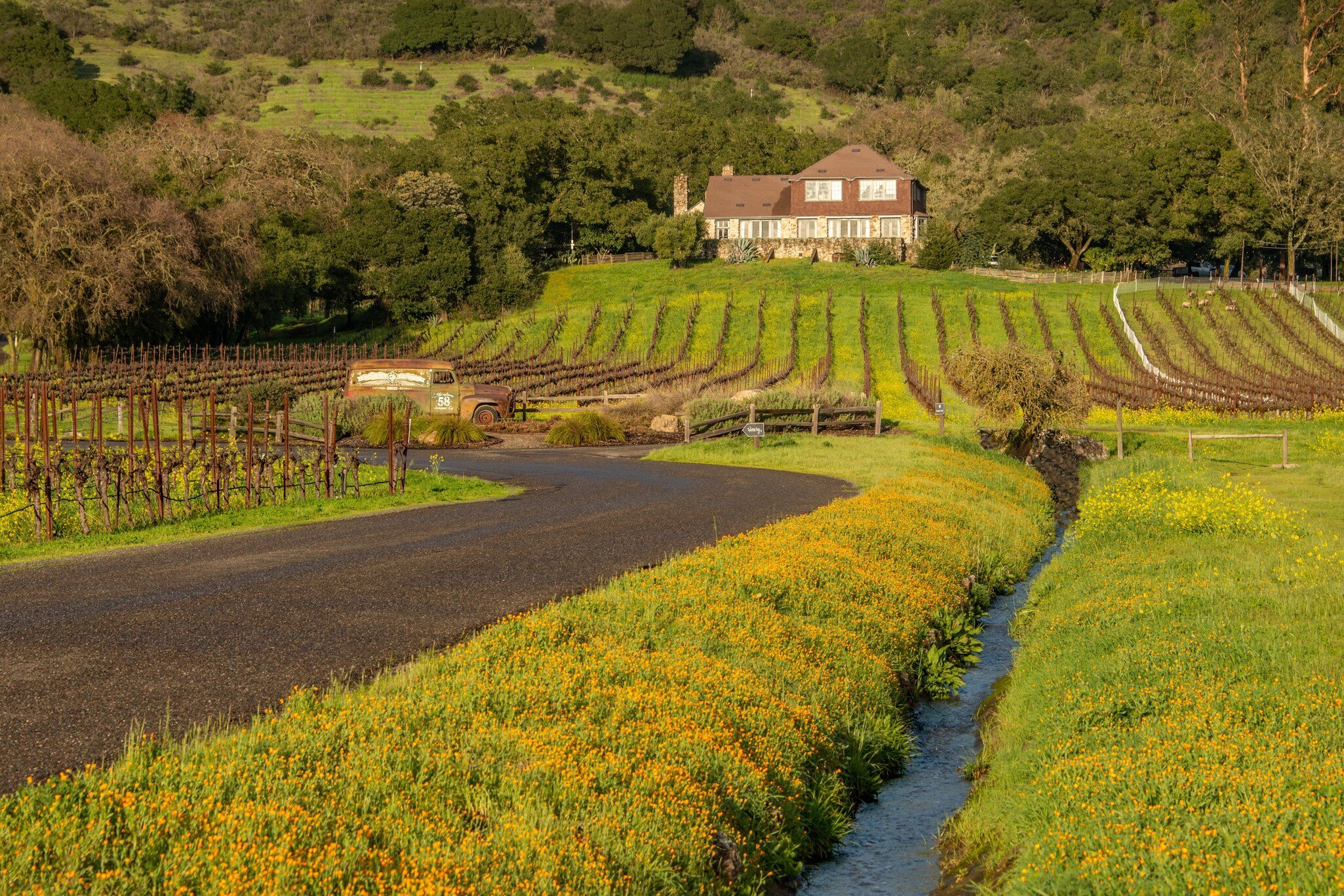 This photograph was taken on the beautiful grounds of Gundlach Bundschu Winery in Sonoma, CA , License Type: media, Download Time: 2025-08-06T19:56:51.000Z, User: dermothegarty77, Editorial: false, purchase_order: 56530 - Guidebooks, job: Global Publishing WIP, client: Coastal California 7, other: Dermot Hegarty