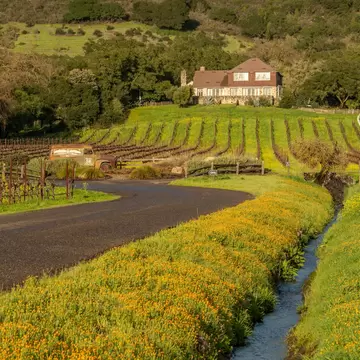 This photograph was taken on the beautiful grounds of Gundlach Bundschu Winery in Sonoma, CA , License Type: media, Download Time: 2025-08-06T19:56:51.000Z, User: dermothegarty77, Editorial: false, purchase_order: 56530 - Guidebooks, job: Global Publishing WIP, client: Coastal California 7, other: Dermot Hegarty