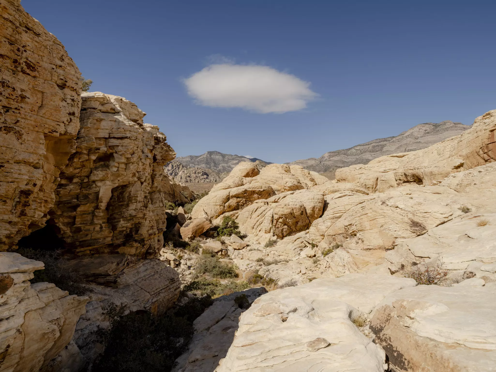 A view of the Calico Hills in the Red Rock Canyon National Conservation Area. Cayce Clifford for Lonely Planet