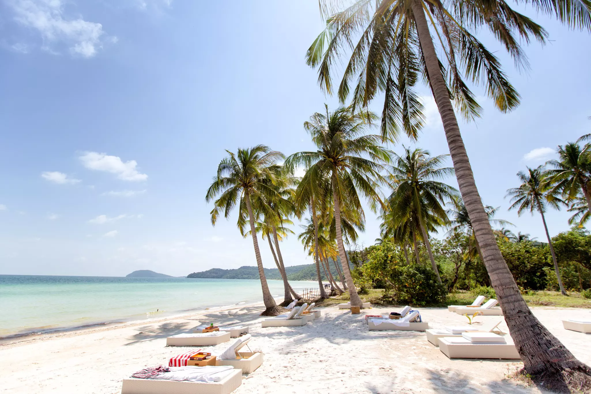 Loungers on the beach surrounded by palm trees.