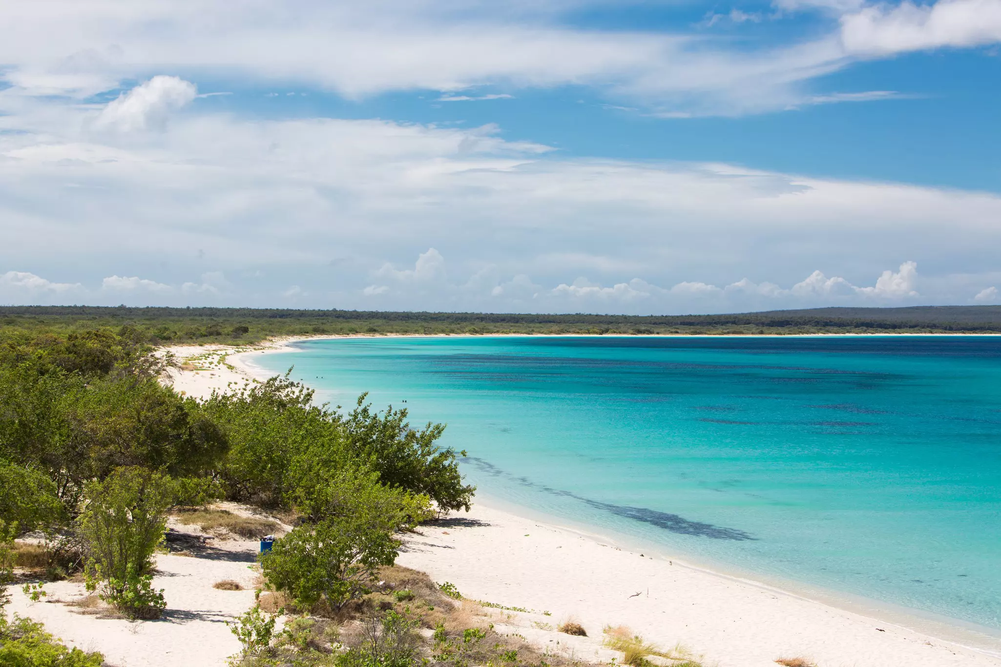 Isolated beach with scrub brush and a curved, narrow line of sand and turquoise sea to the right.