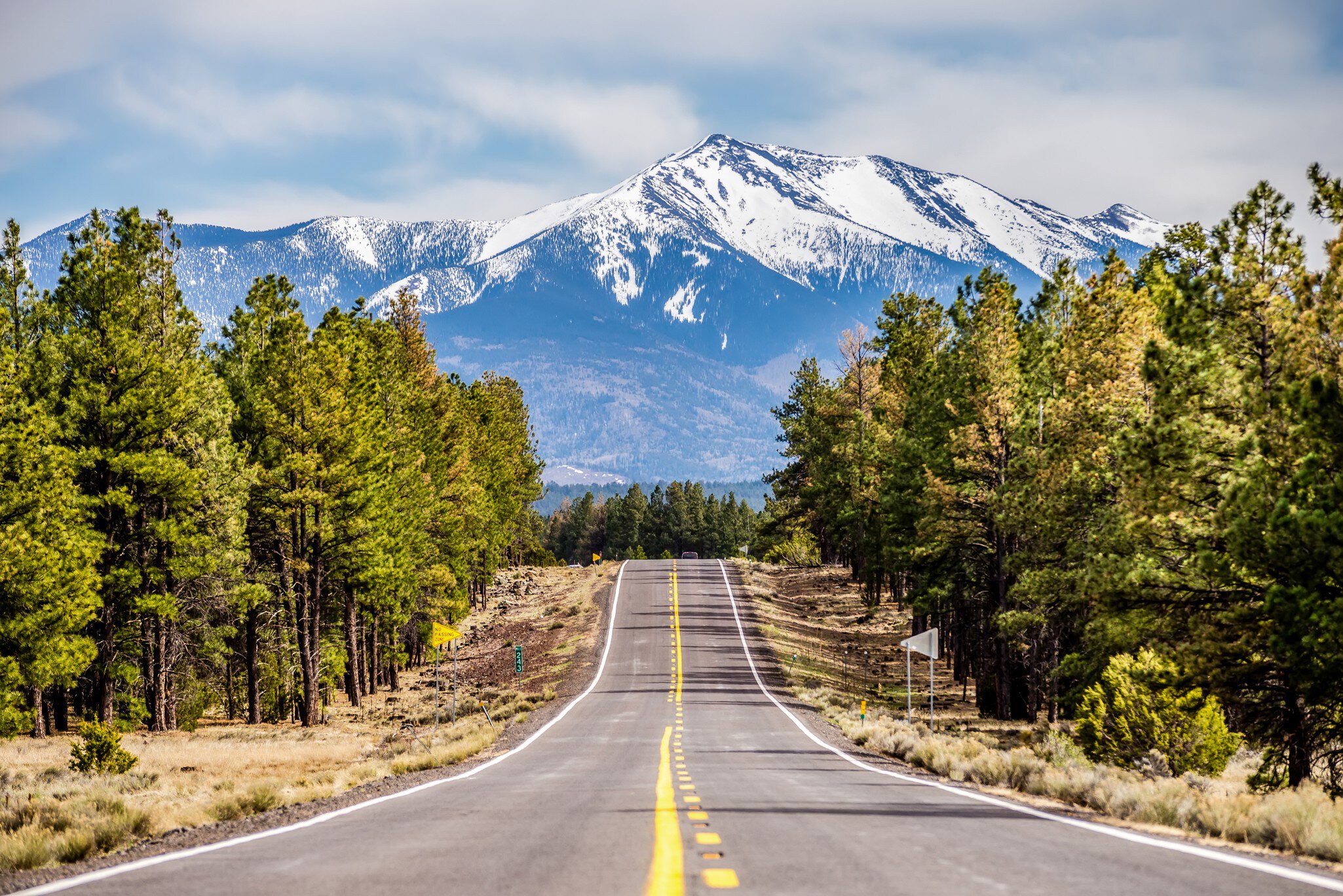 landscape with Humphreys Peak Tallest in Arizona